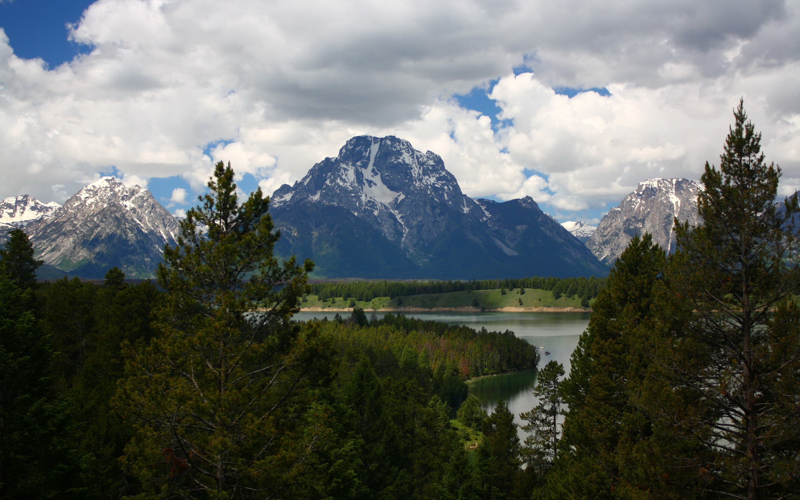 Grand Teton National Park Mountains and Forest HD Wallpaper