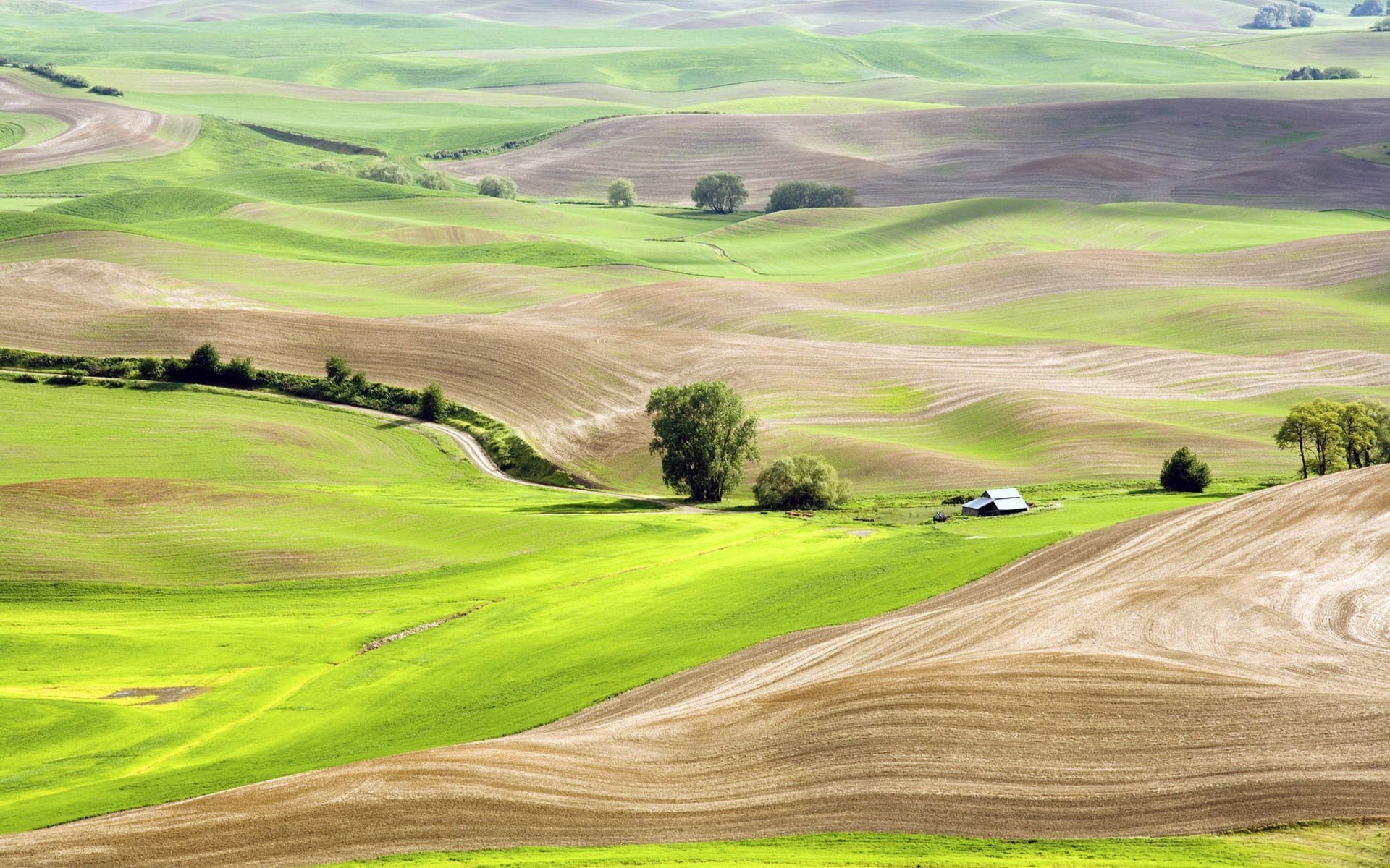 Rolling green and brown hills with a small barn HD Wallpaper