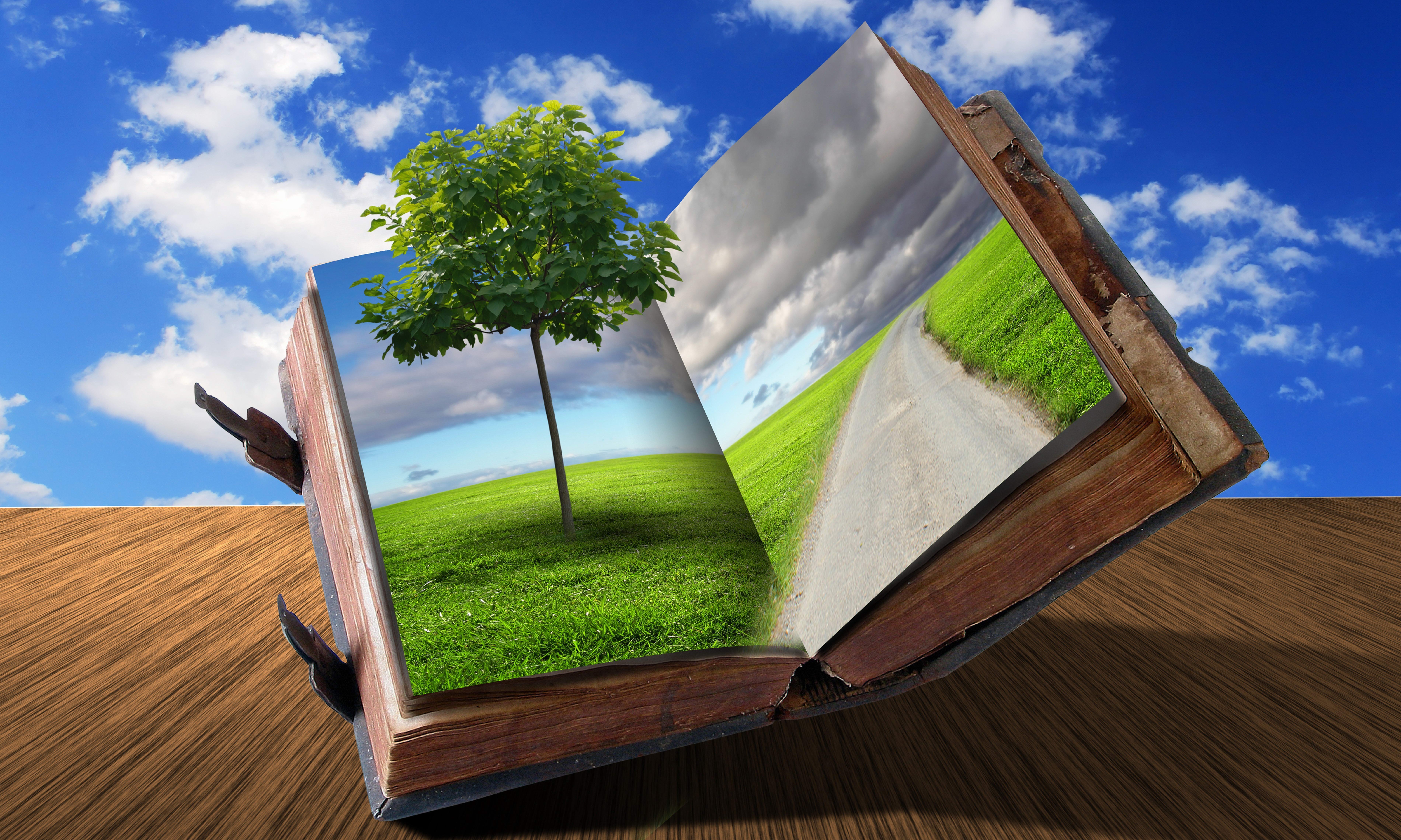 Open book with nature scenes against blue sky HD Wallpaper