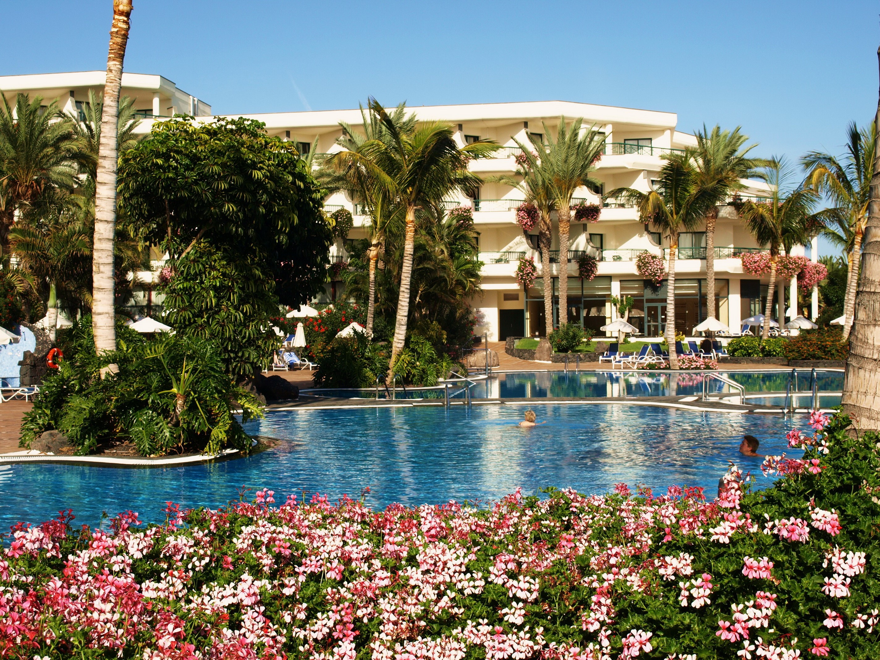 Resort pool with palm trees and flowers in Spain HD Wallpaper