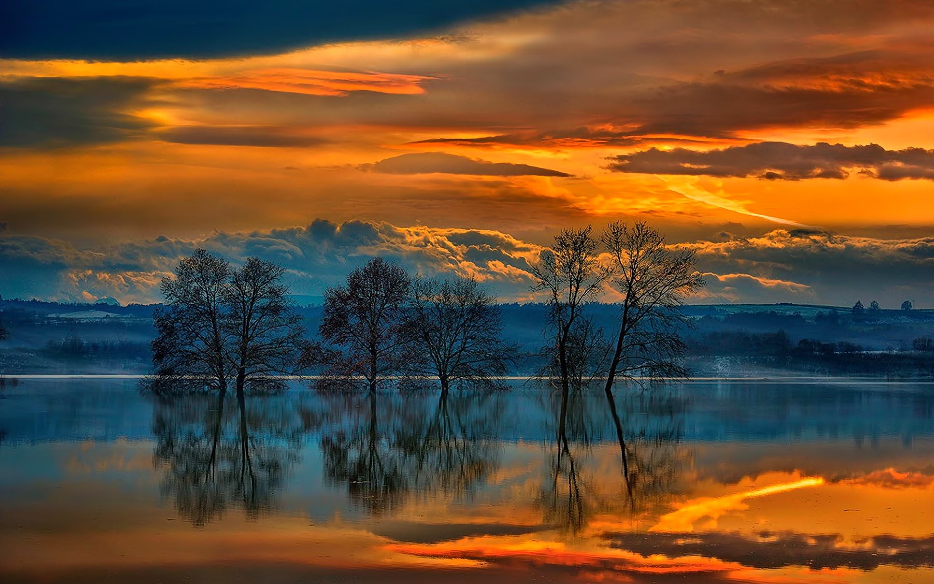Trees reflected in water during sunset HD Wallpaper