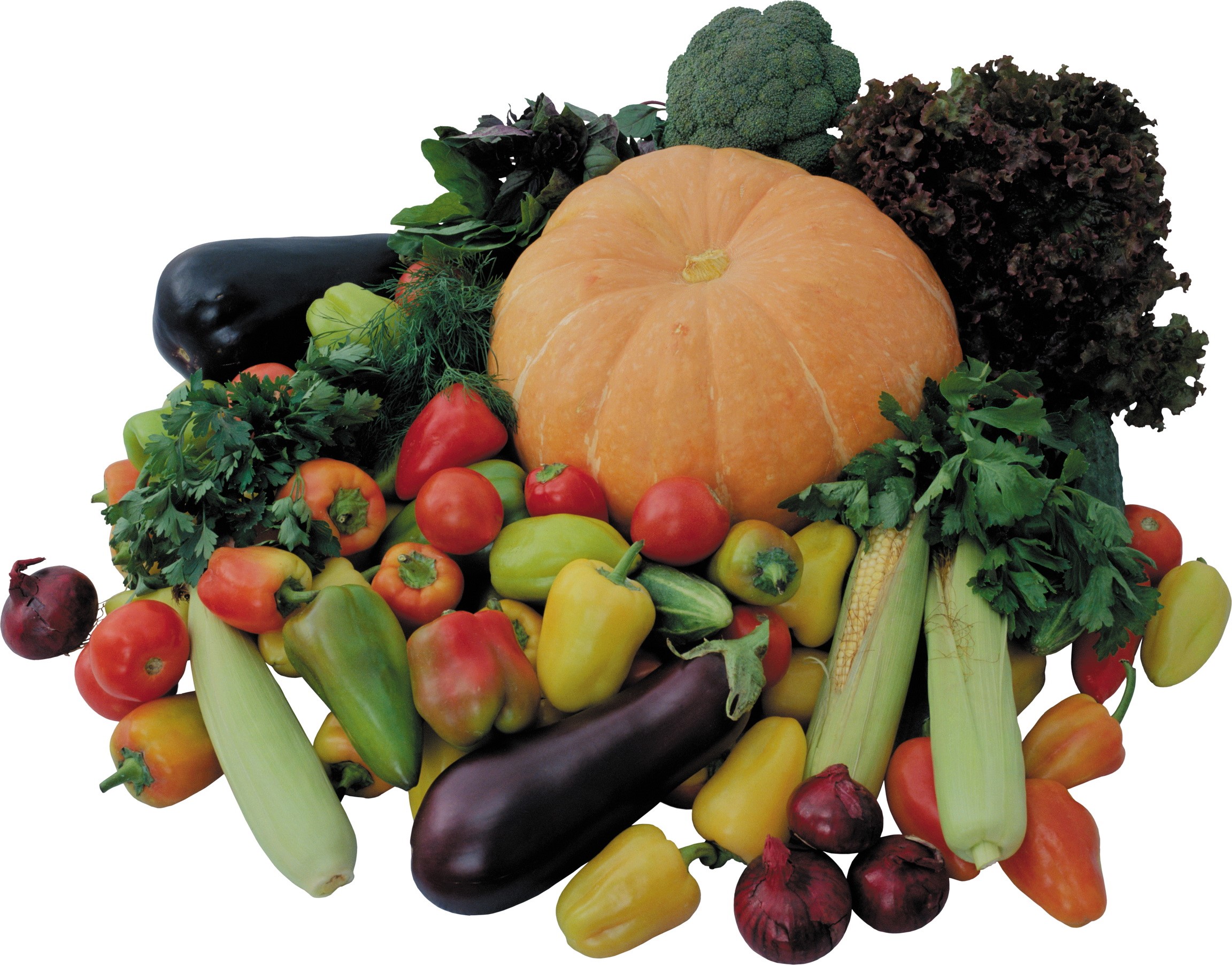Assortment of fresh vegetables including pumpkin, eggplant, and bell peppers HD Wallpaper