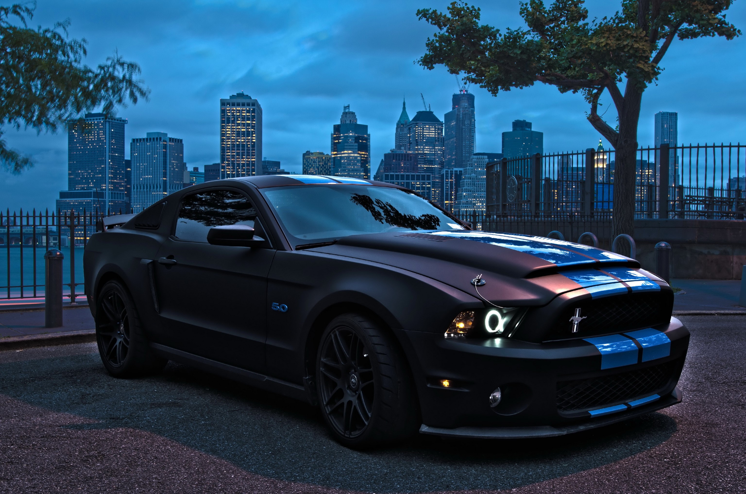 Matte Black Ford Mustang GT with Blue Stripes in City HD Wallpaper