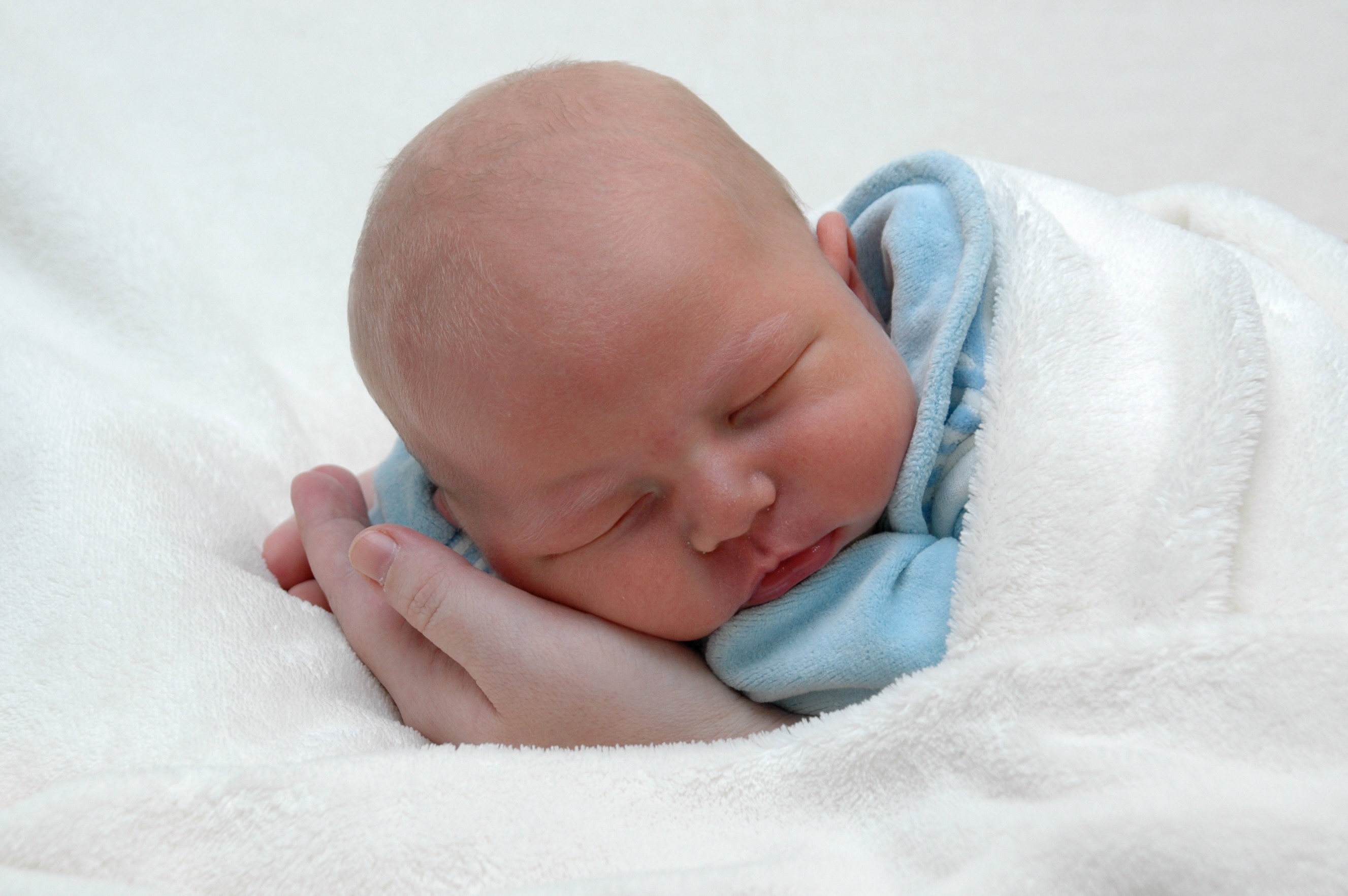 Newborn baby sleeping on a hand HD Wallpaper