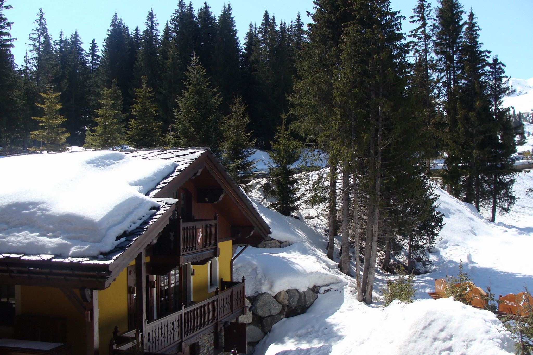 Snowy chalet in a pine forest HD Wallpaper