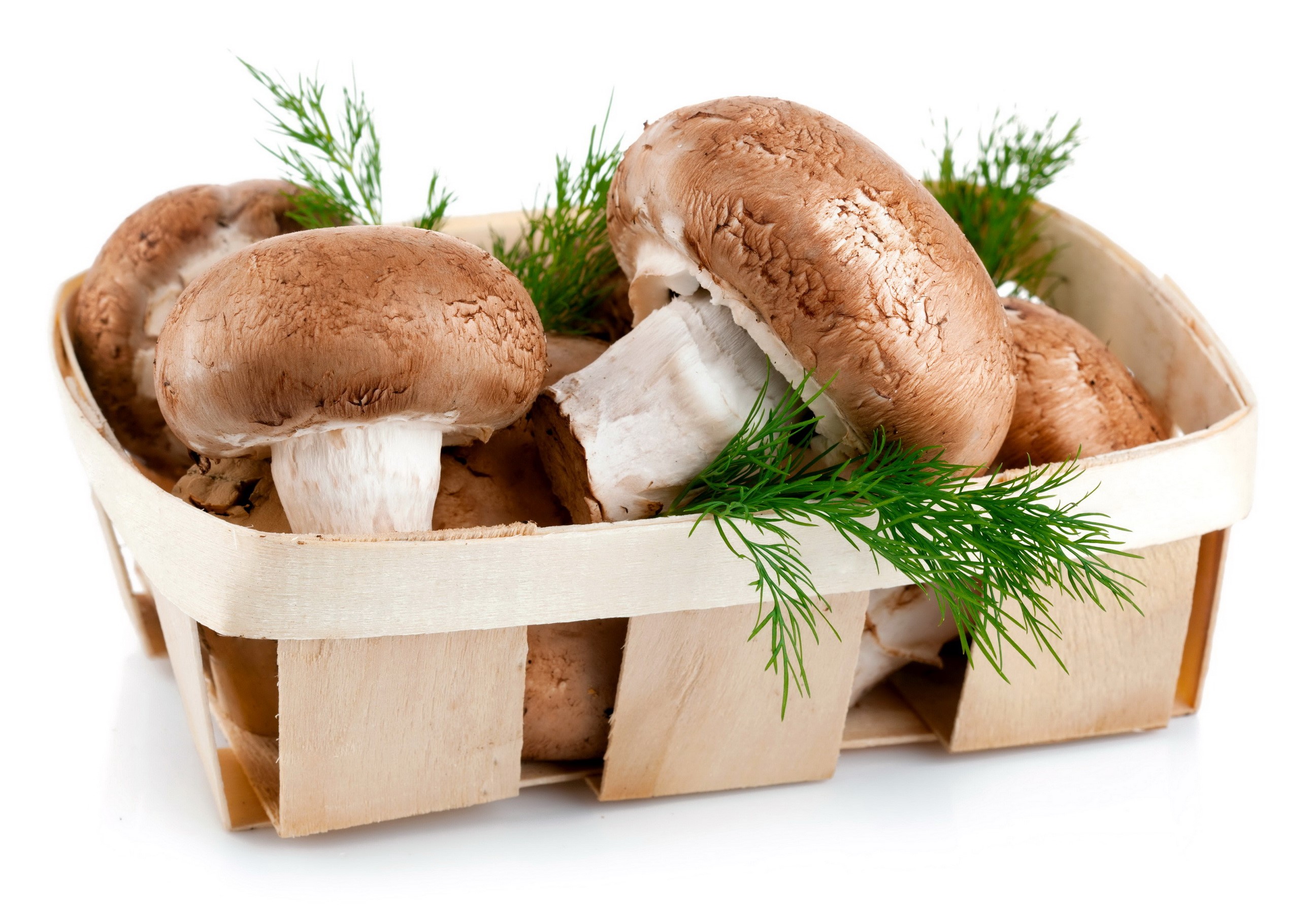 Brown mushrooms and dill in a wooden basket HD Wallpaper