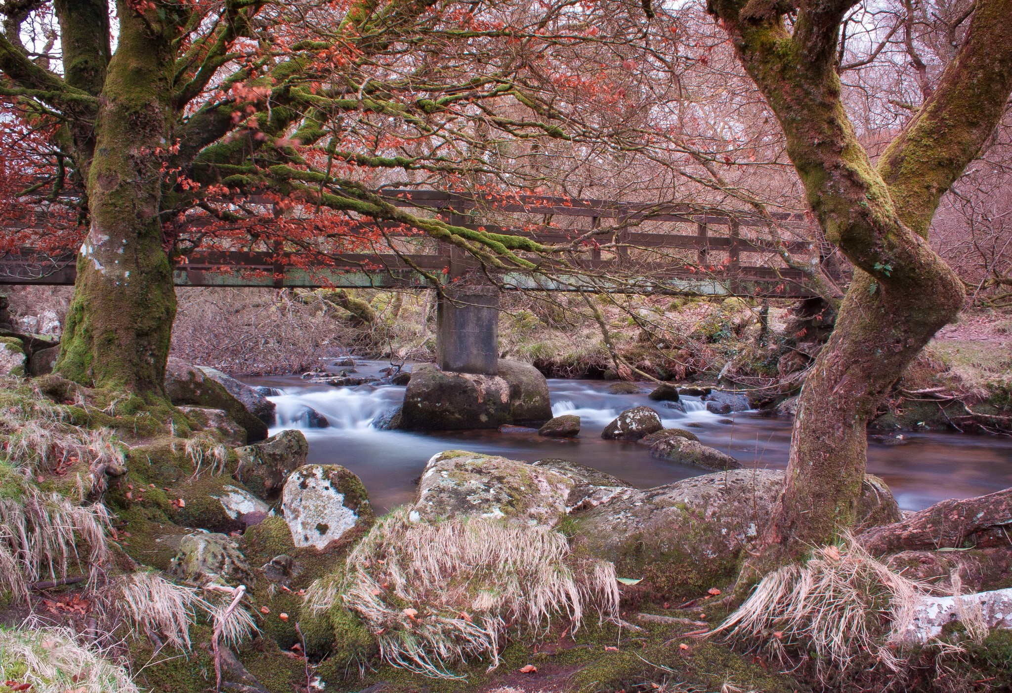 Bridge over a river with mossy trees and stones in Belstone, England HD Wallpaper
