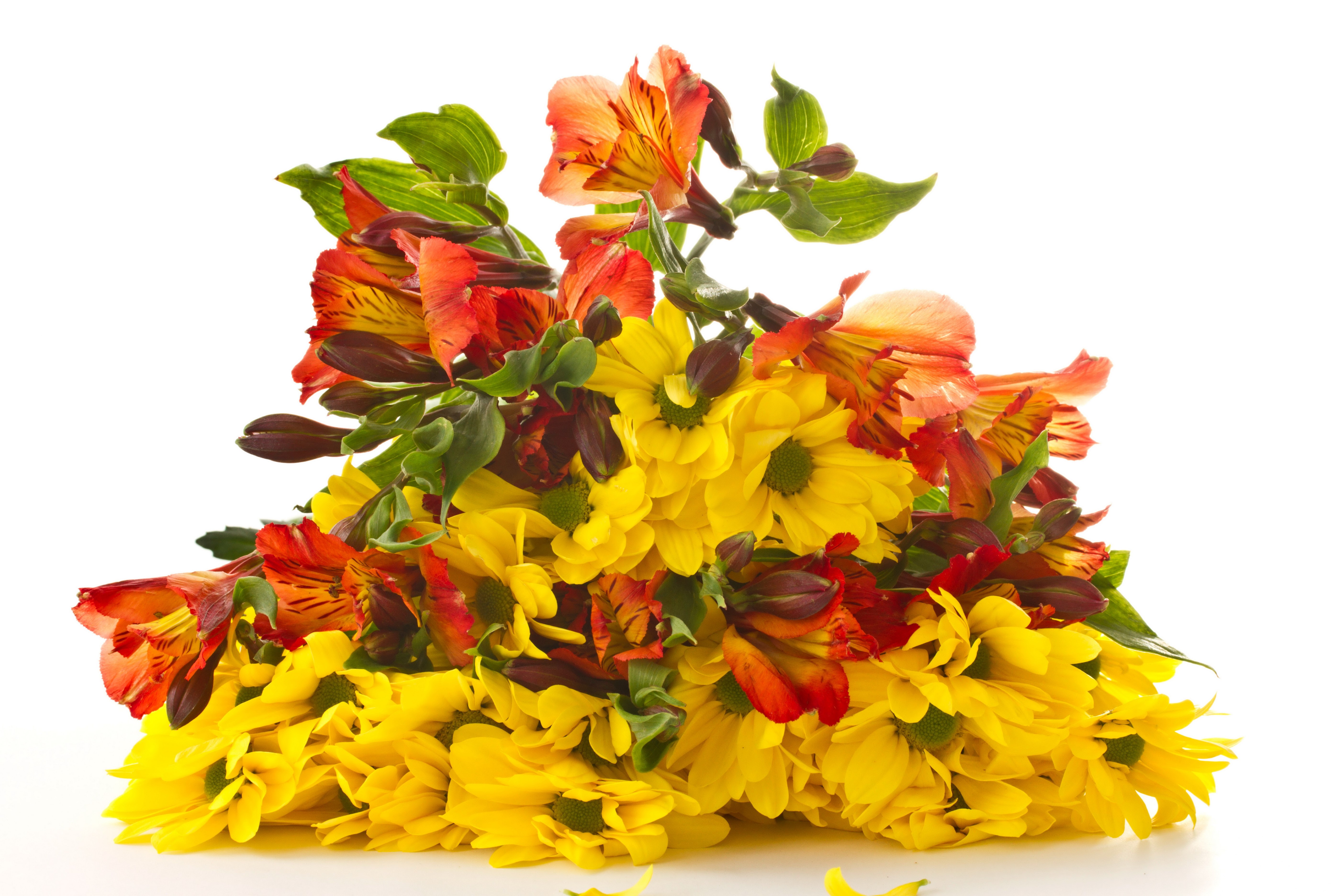 Bouquet of yellow chrysanthemums and orange alstroemerias HD Wallpaper