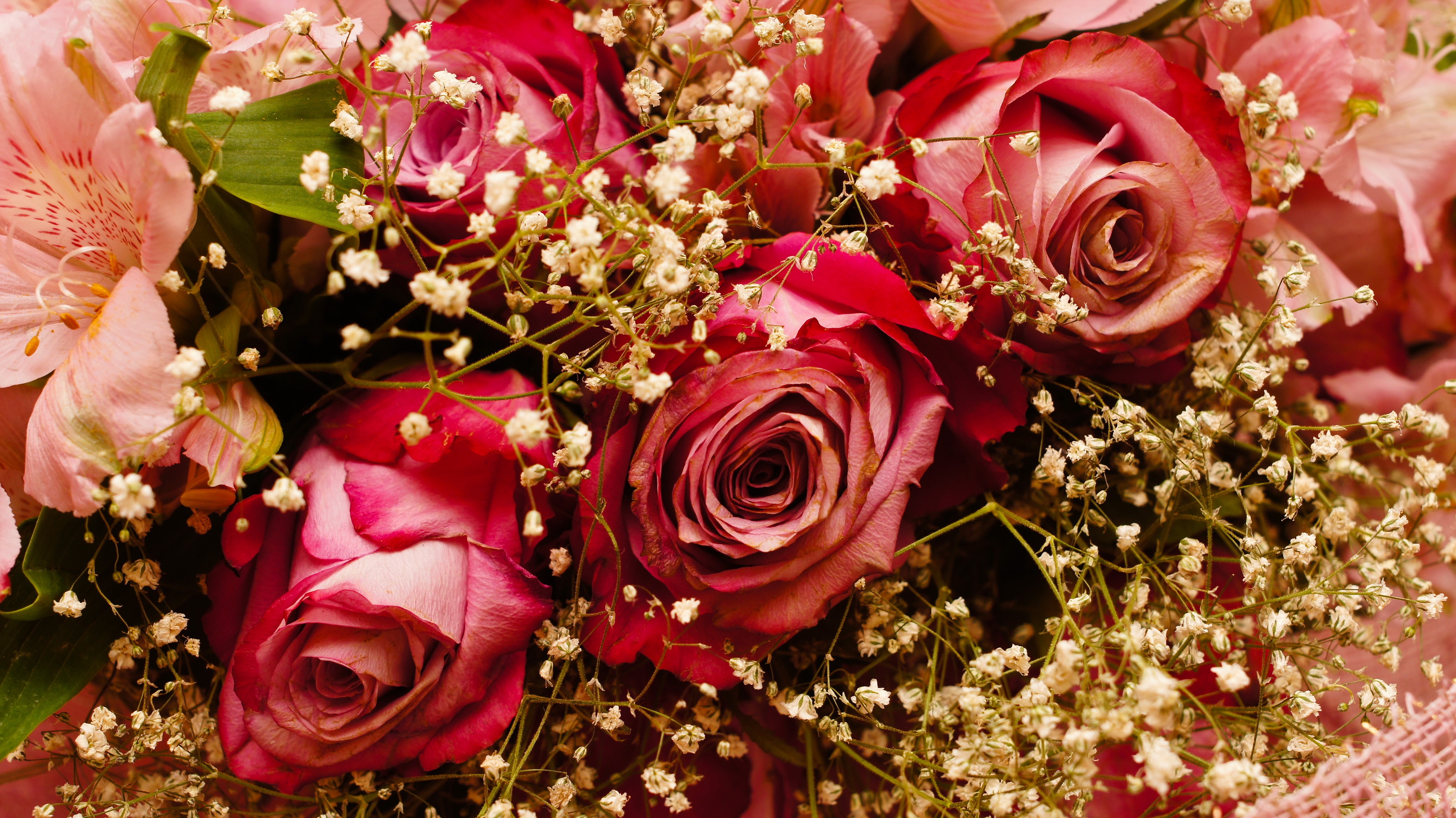 Bouquets of Roses and Alstroemeria with Baby's Breath HD Wallpaper