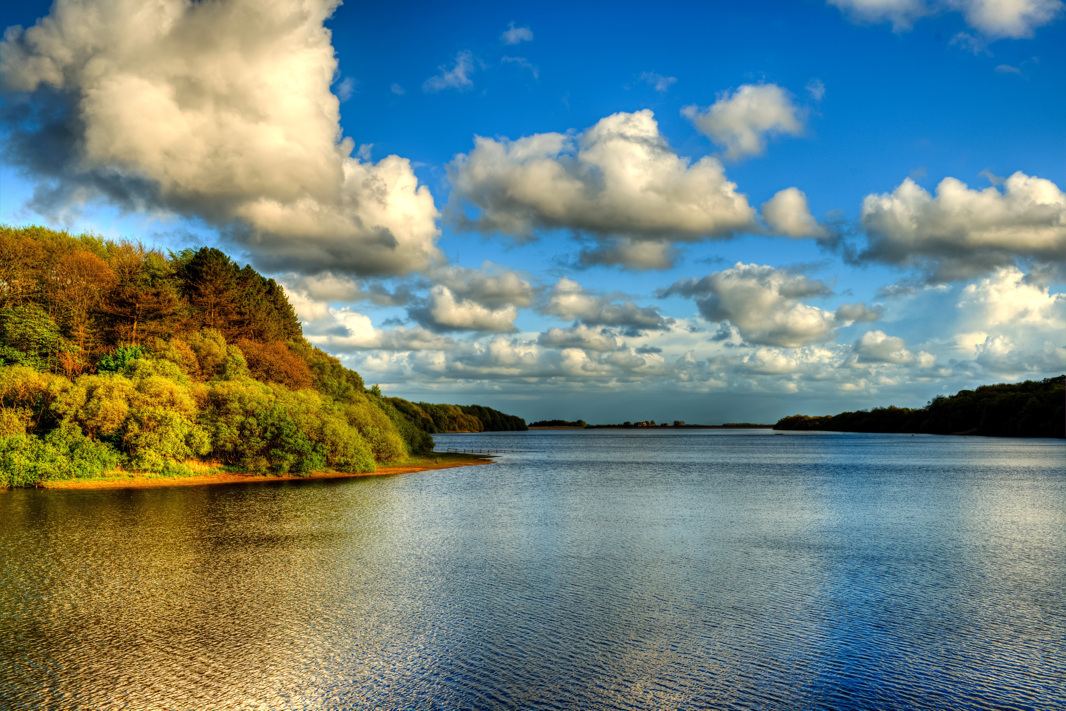 Lake and Trees Under a Cloudy Sky HD Wallpaper