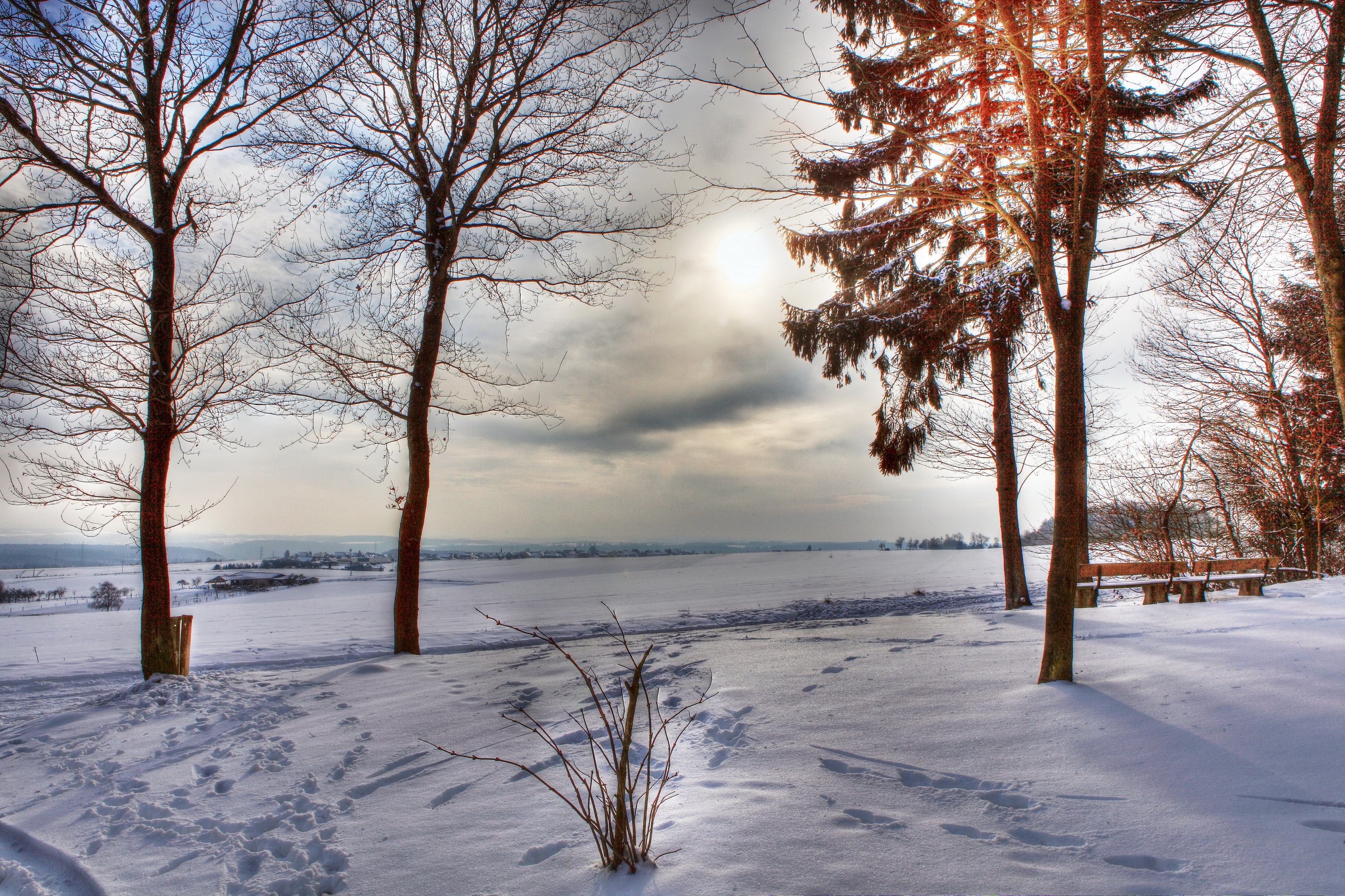 Winter landscape with snow-covered field and trees HD Wallpaper