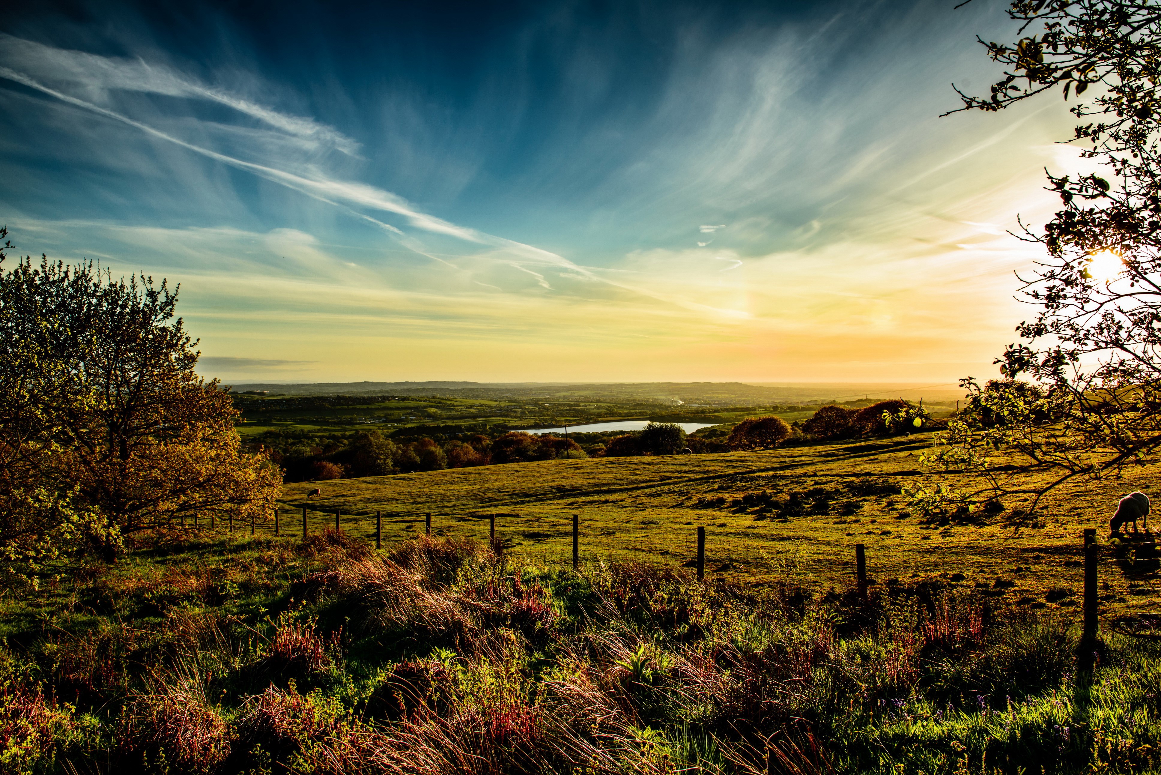 4K HDR Grasslands in England at Sunset HD Wallpaper