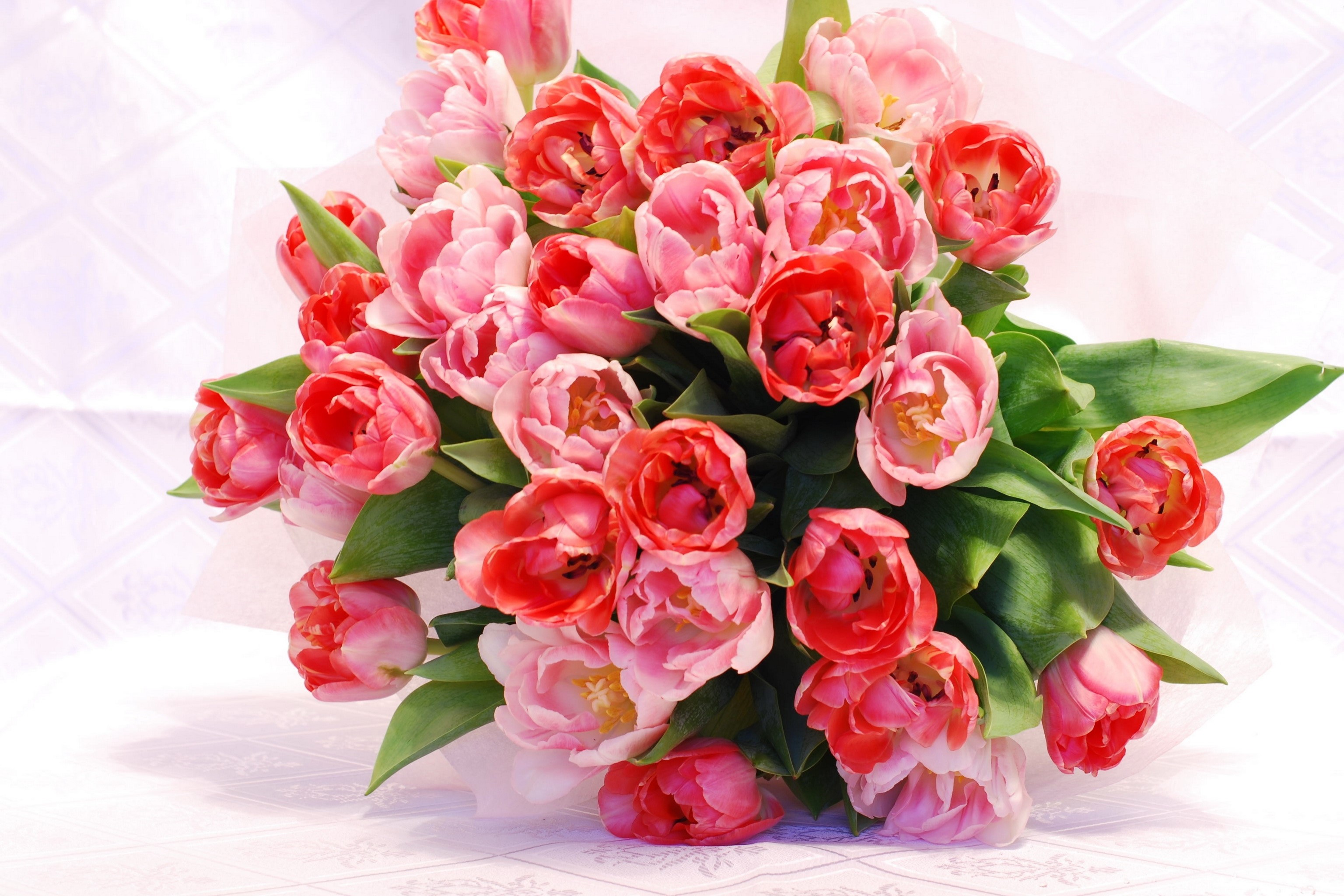 Pink and red tulips bouquet HD Wallpaper