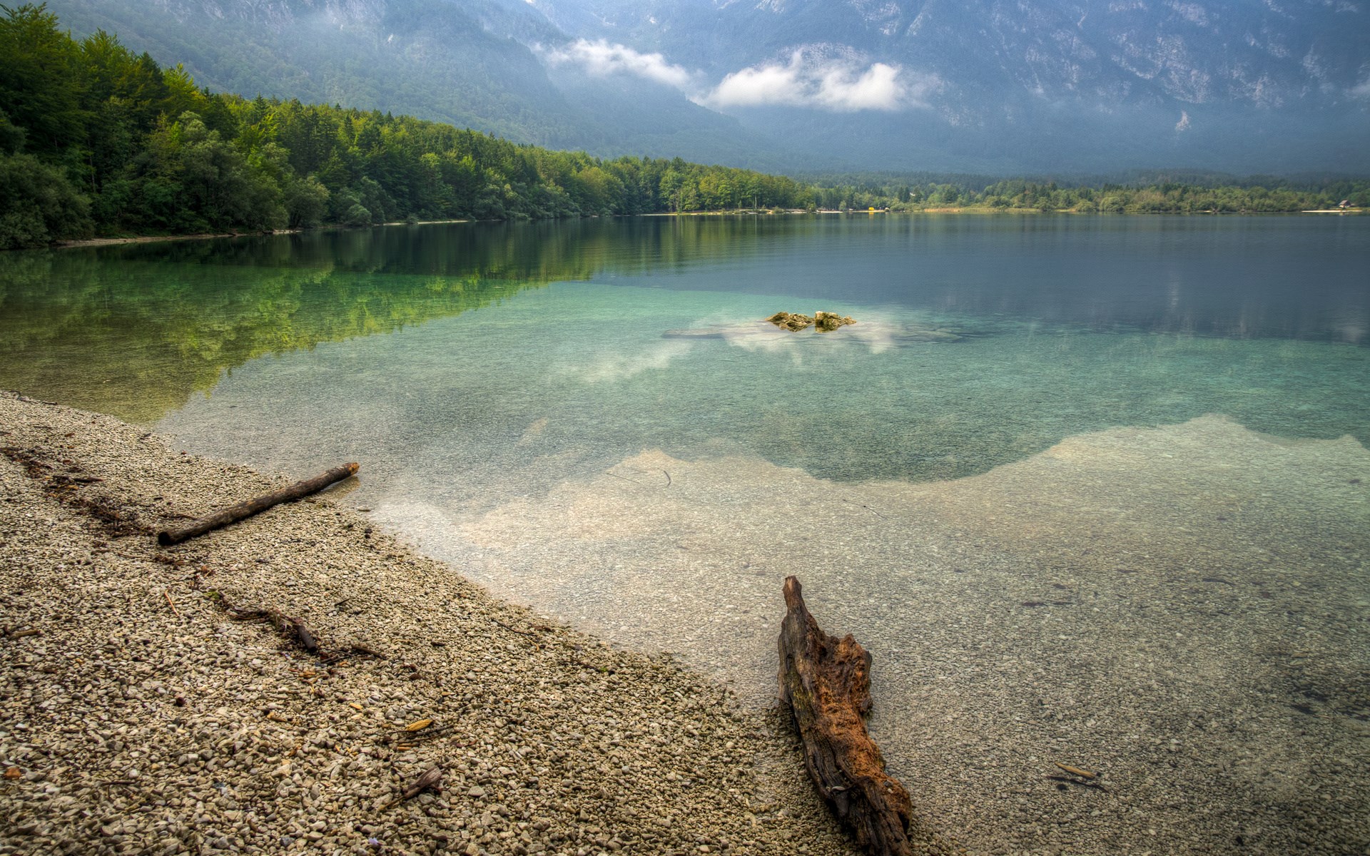 Lake Bohinj with mountains and forest HD Wallpaper