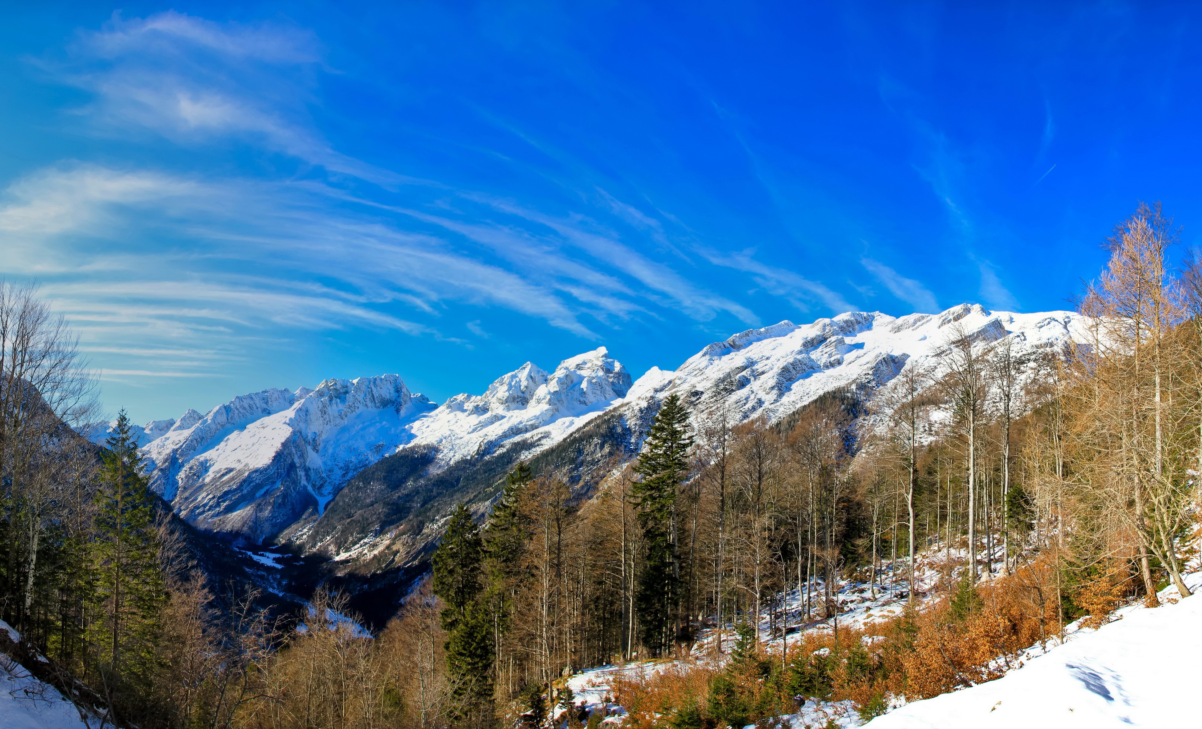 4K Mountains and Forests in Trenta, Slovenia HD Wallpaper