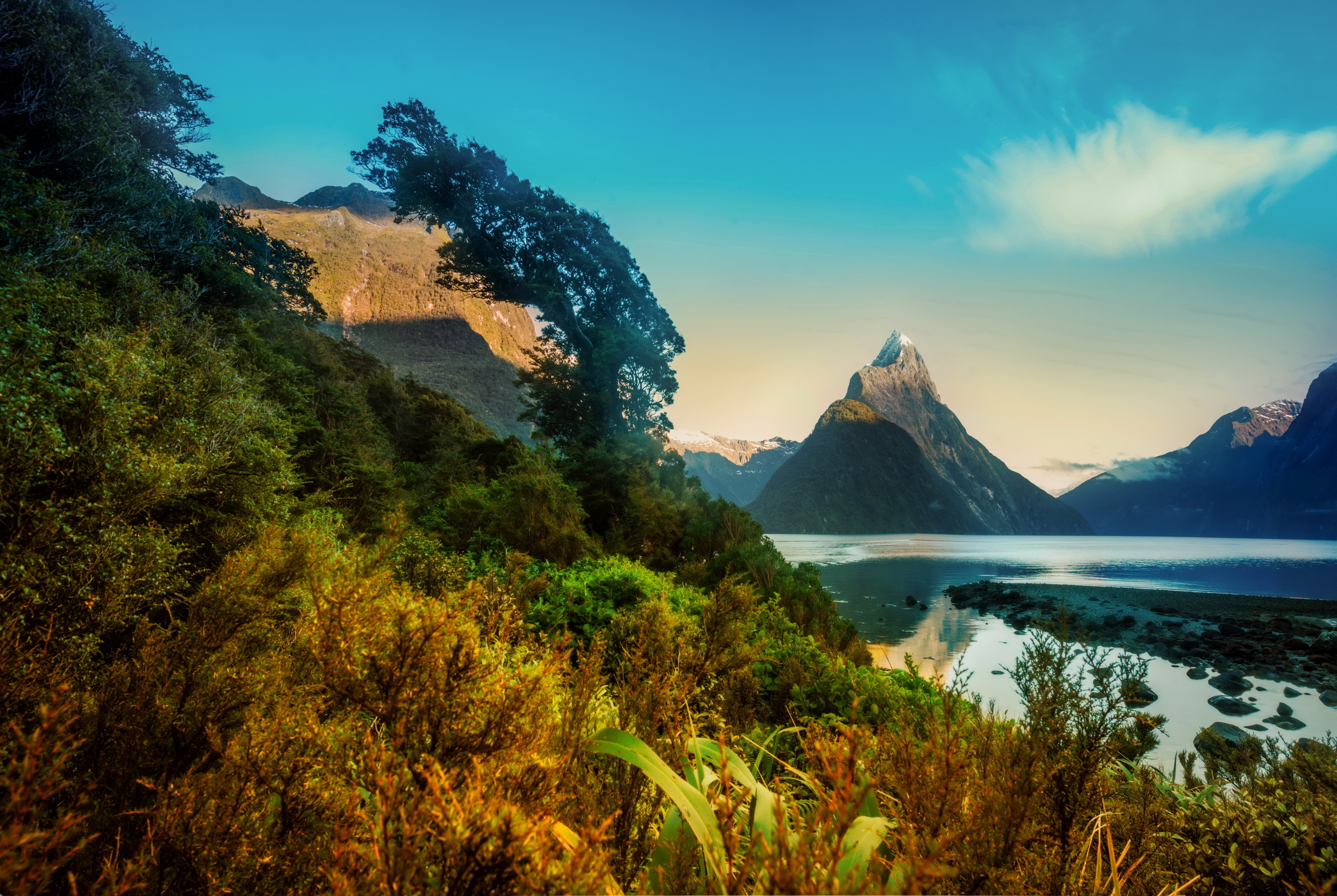 Milford Sound New Zealand Mountains and Shrubs HD Wallpaper