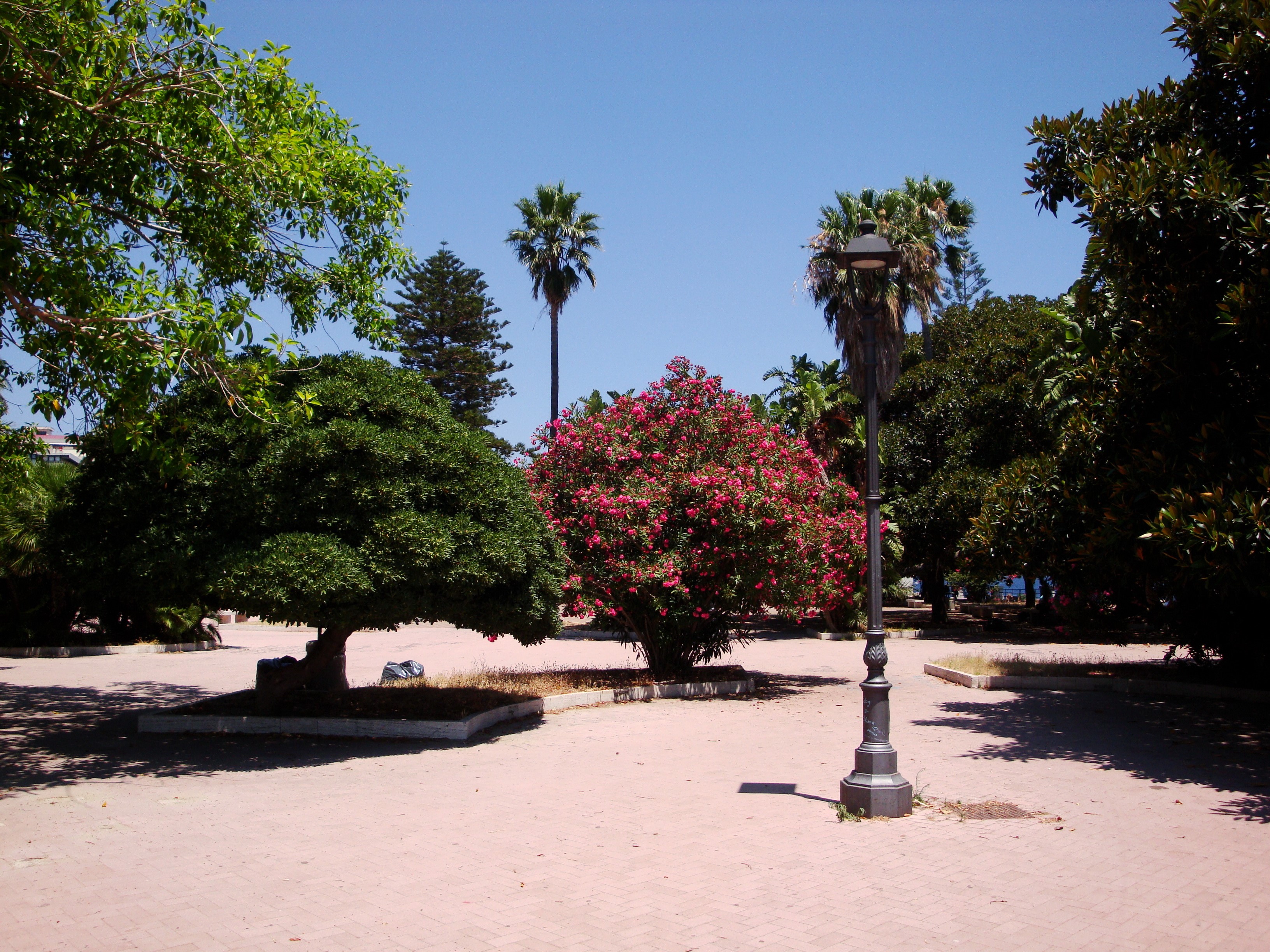 Park with trees and pavement in Italy HD Wallpaper