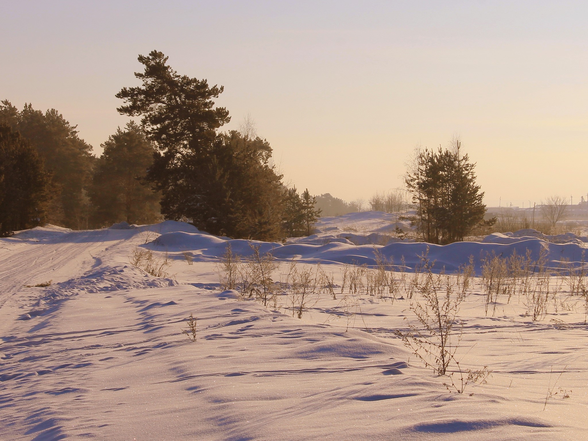 Winter landscape with snow-covered ground and trees HD Wallpaper
