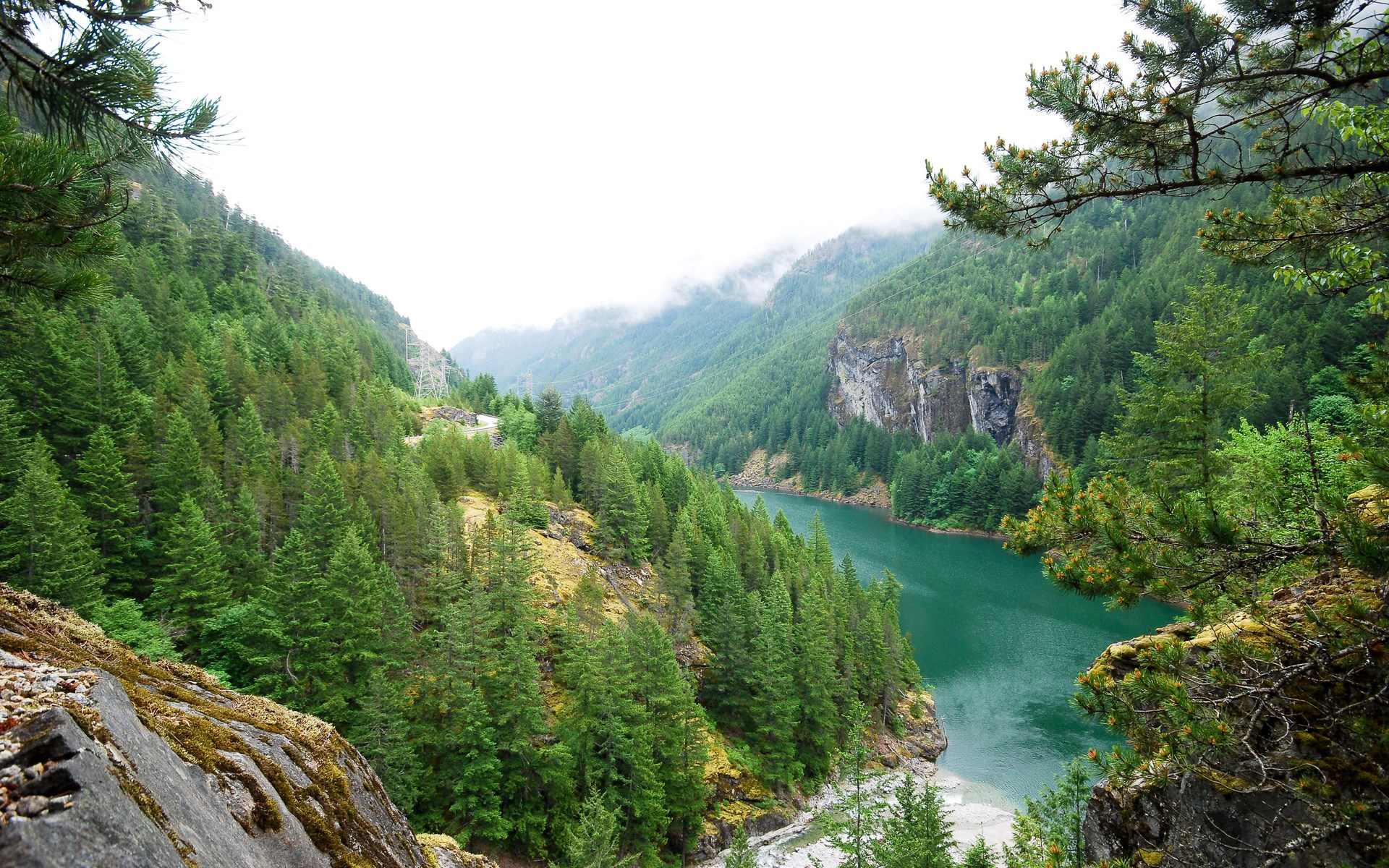 Turquoise lake surrounded by pine-covered mountains HD Wallpaper
