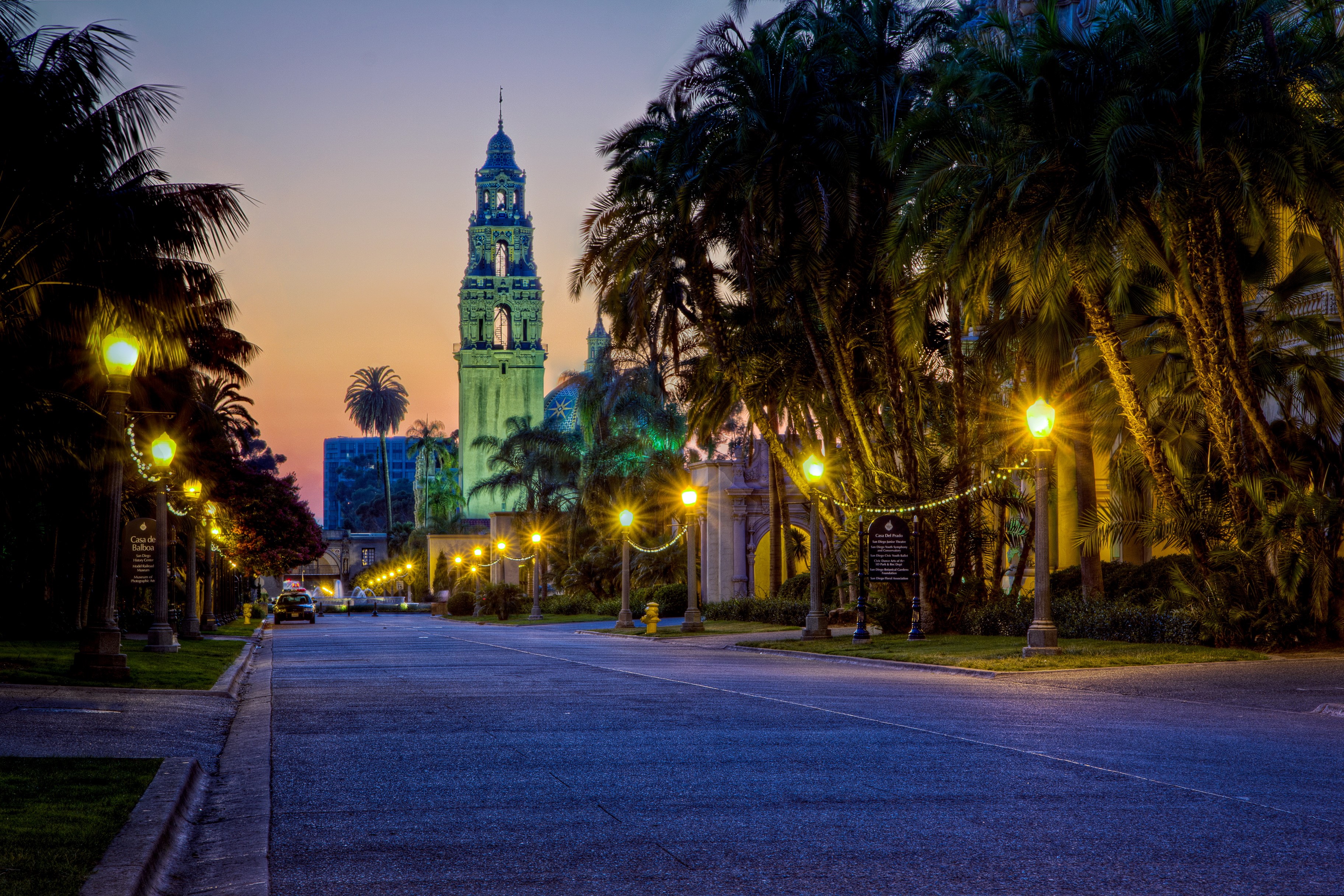 Street lights and palm trees at dusk in San Diego, California HD Wallpaper