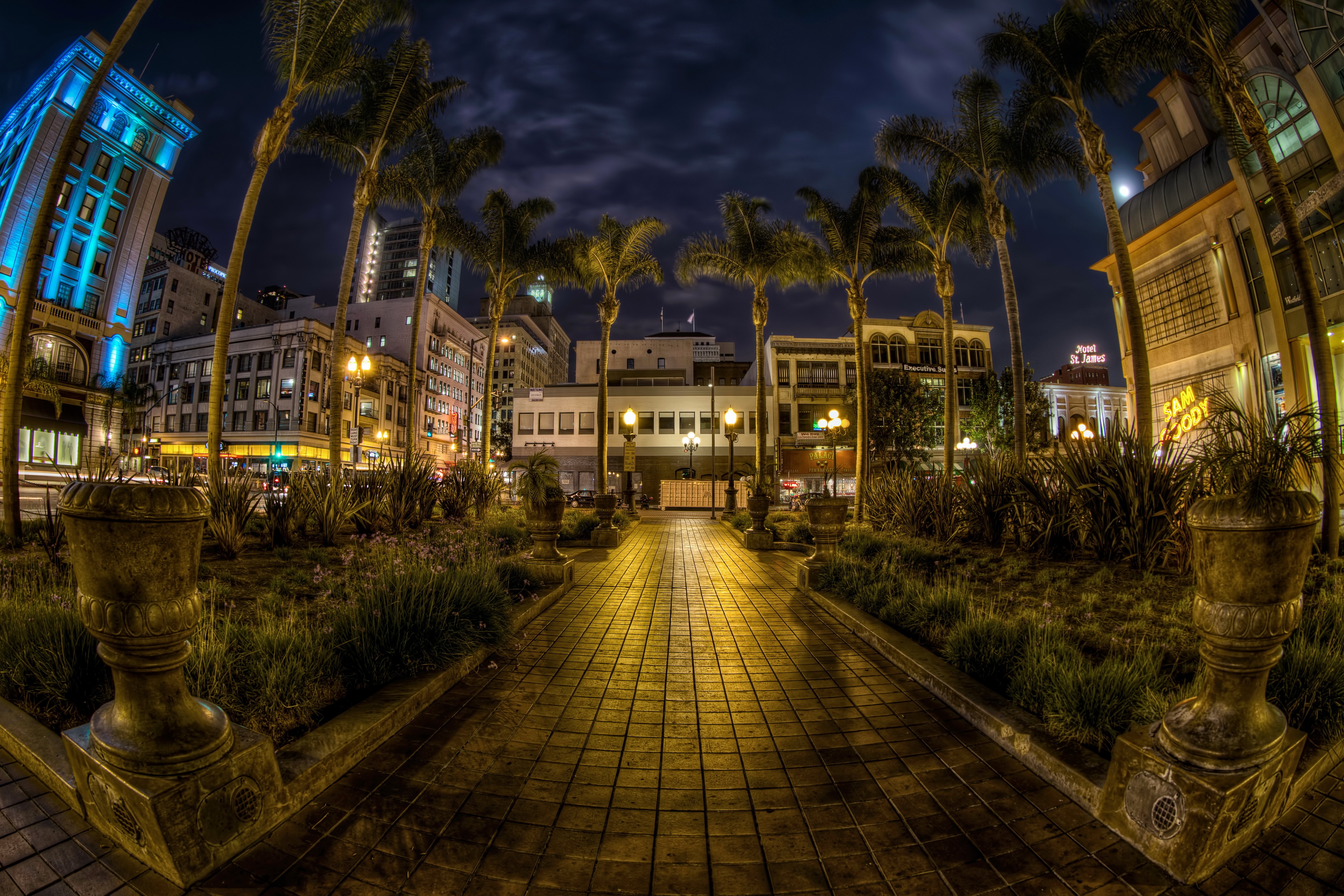 San Diego at Night with Palm Trees and Buildings HD Wallpaper