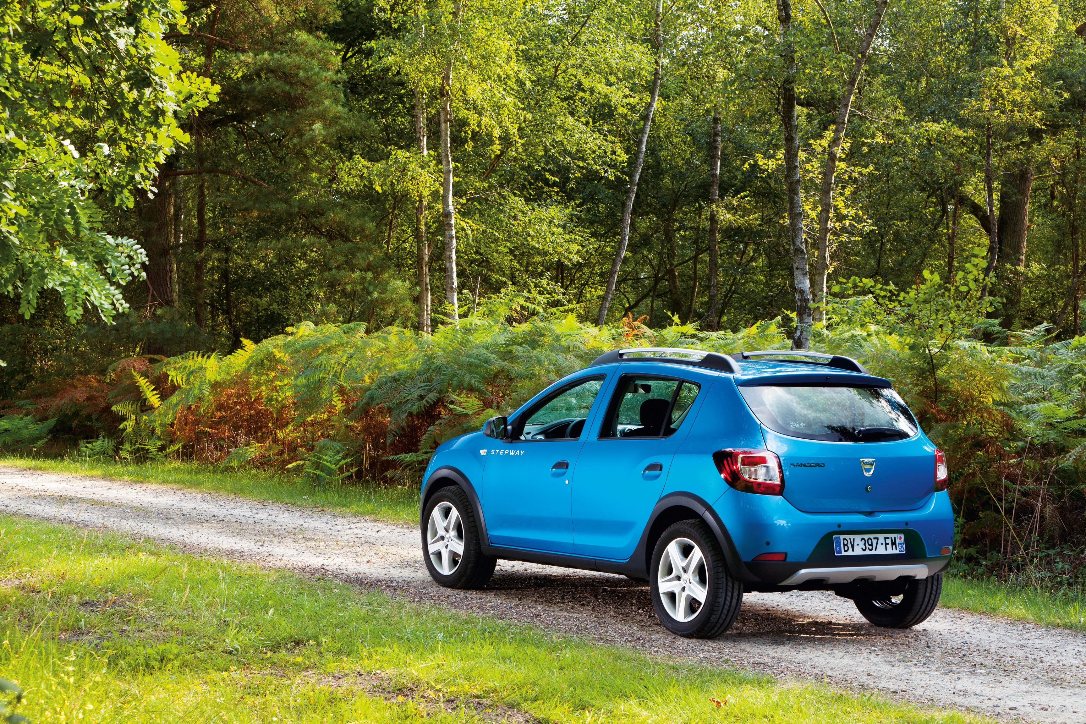 Dacia Sandero Stepway on a forest road HD Wallpaper