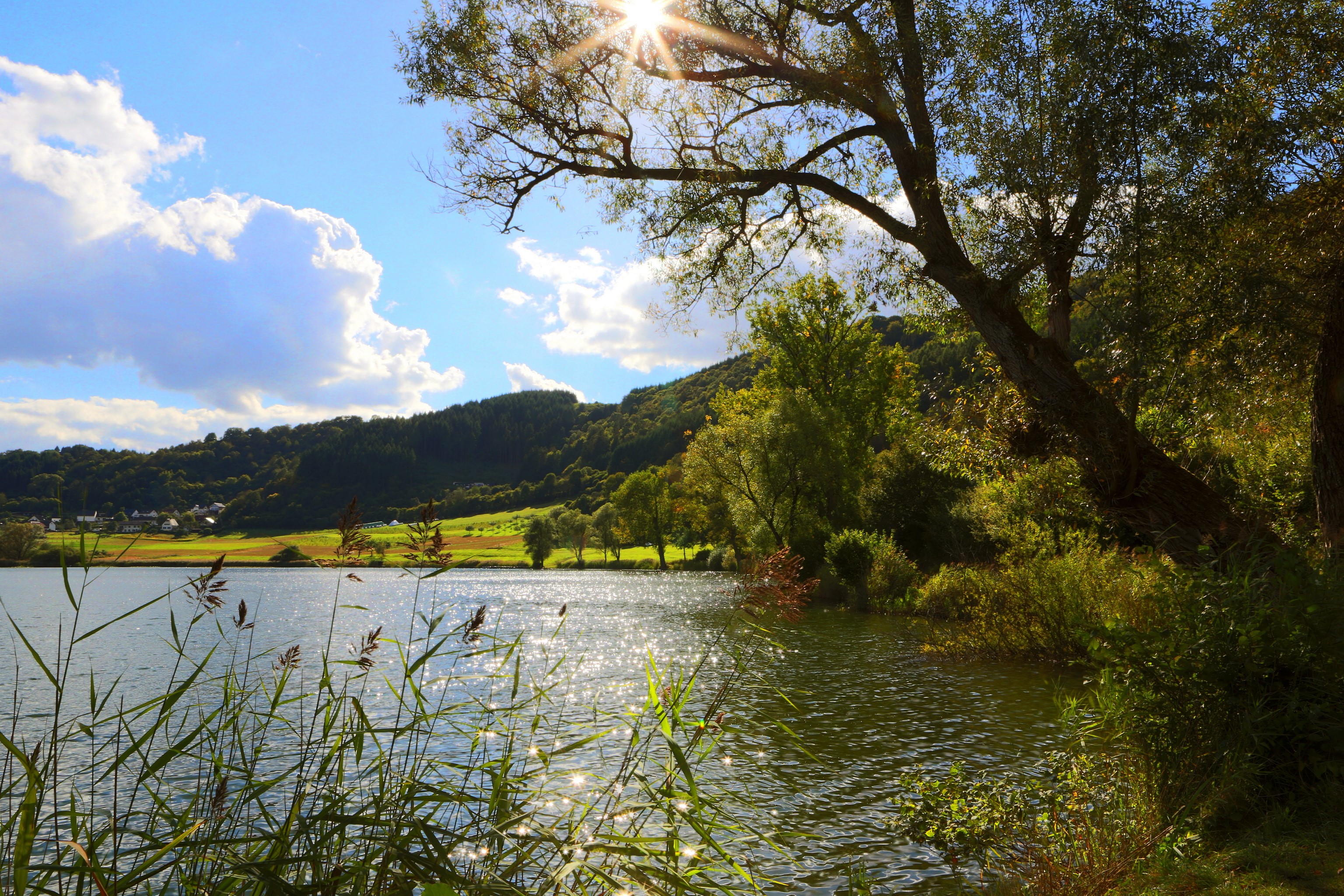 Lake and hills in Merfeld, Germany HD Wallpaper