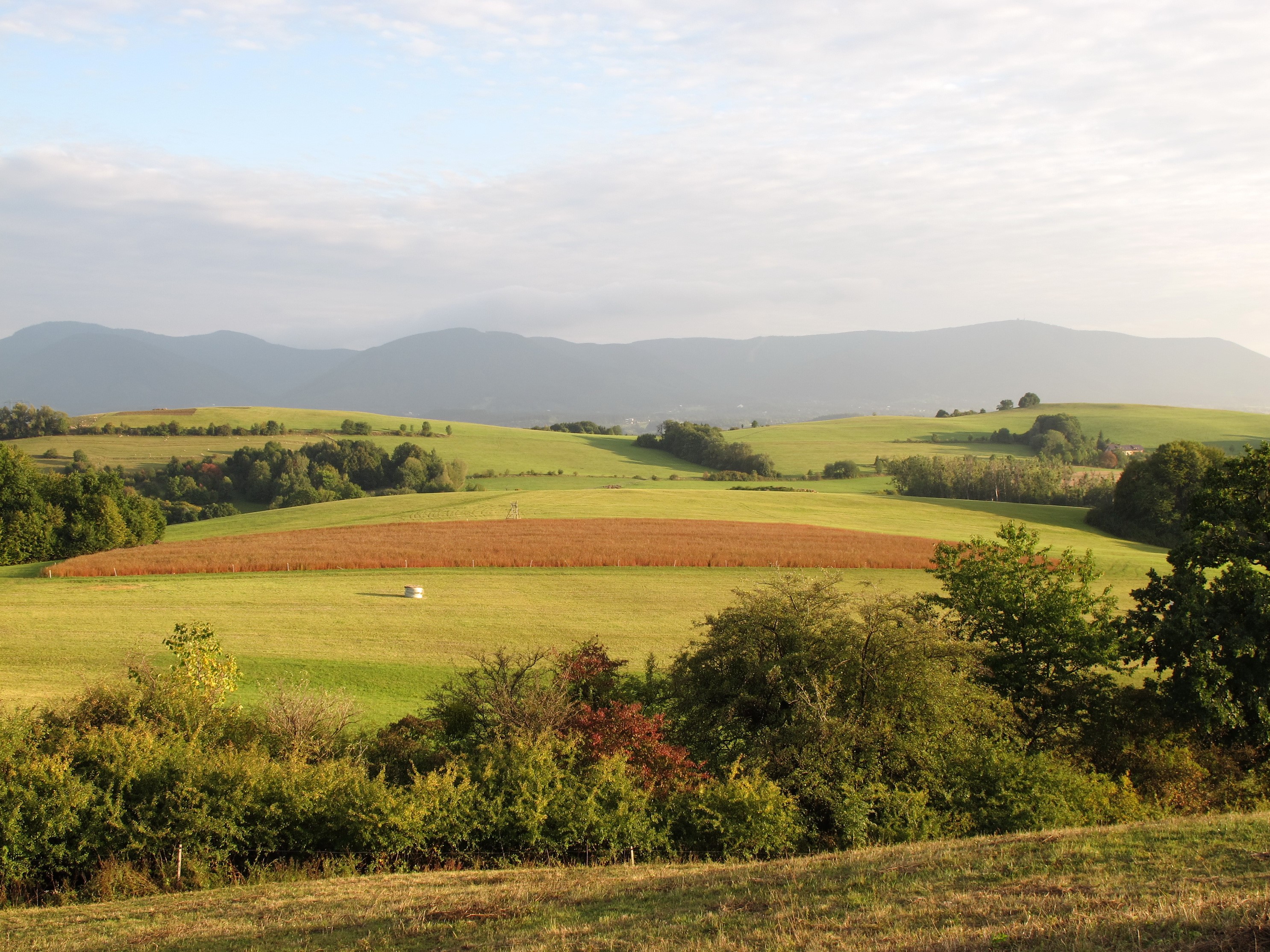 Rolling green fields and hills in Kozlovice, Czech Republic HD Wallpaper