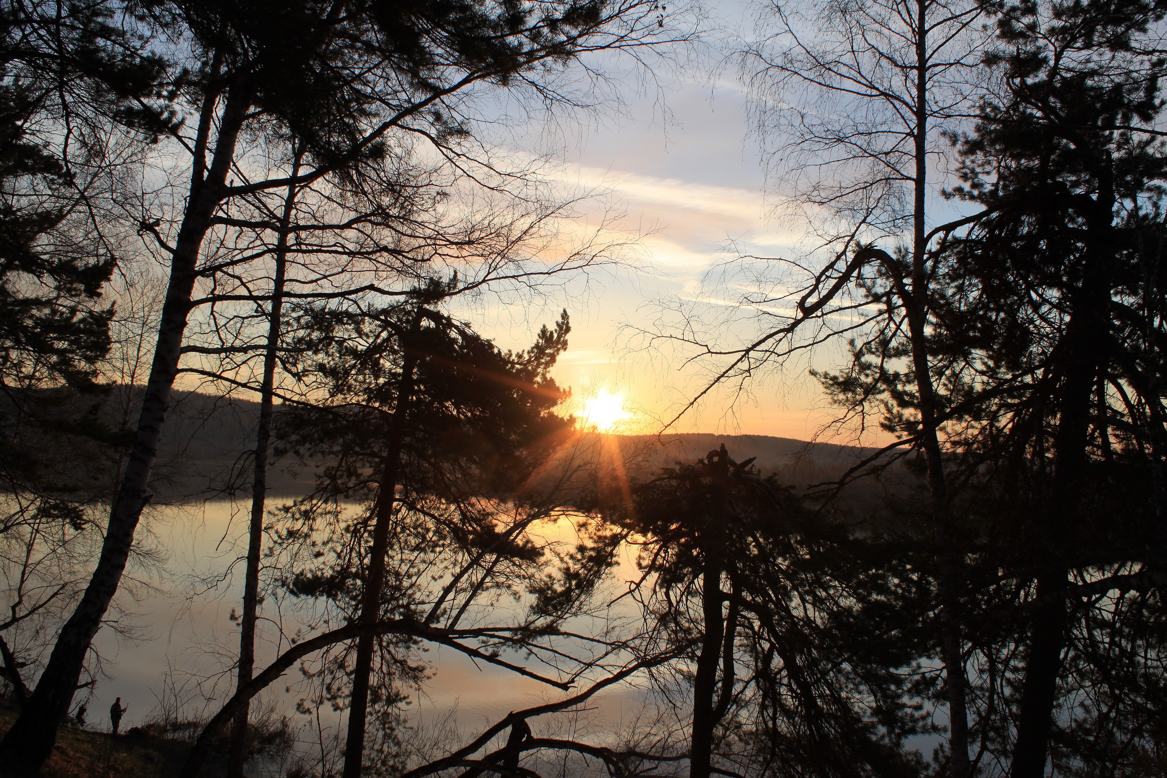 Sunset over a lake through silhouetted trees HD Wallpaper