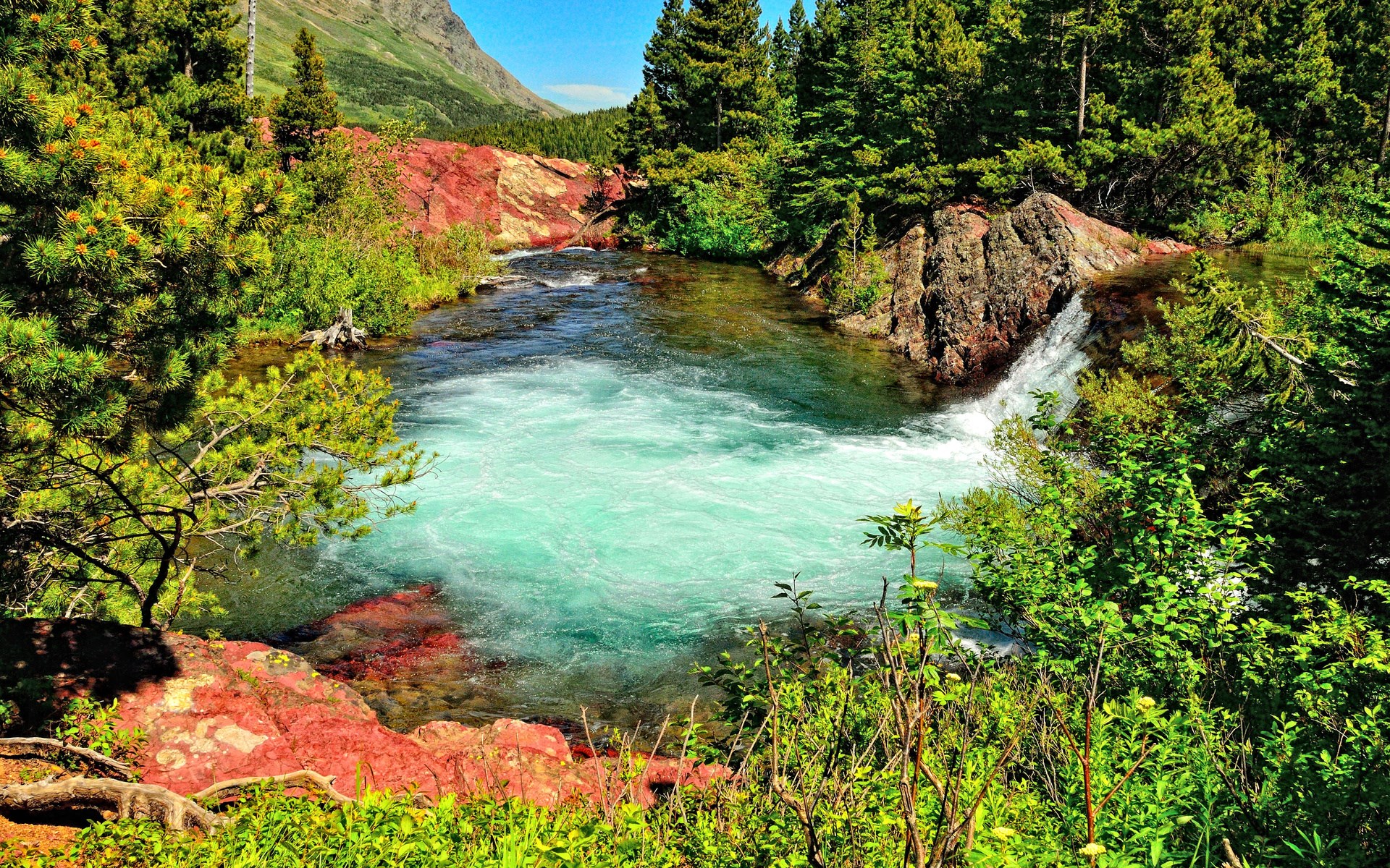 Turquoise river flowing through a forest with red rocks HD Wallpaper