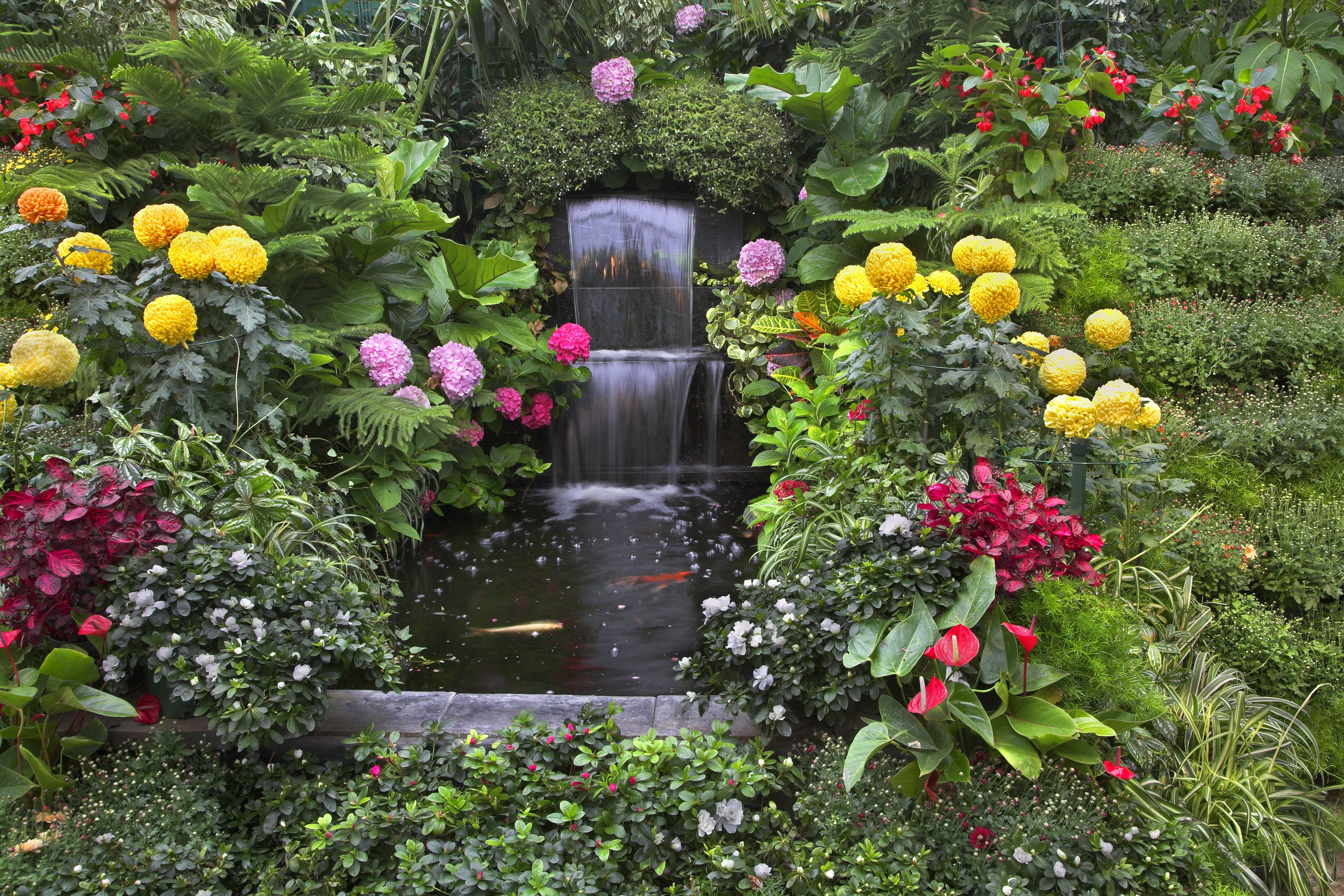4K Garden Waterfall with Koi Pond and Flowers HD Wallpaper