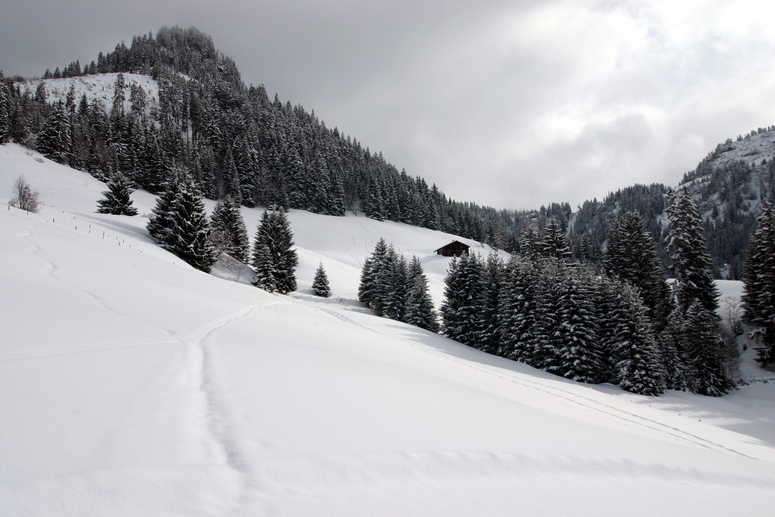 Snowy mountain landscape with trees and a cabin in Switzerland HD Wallpaper