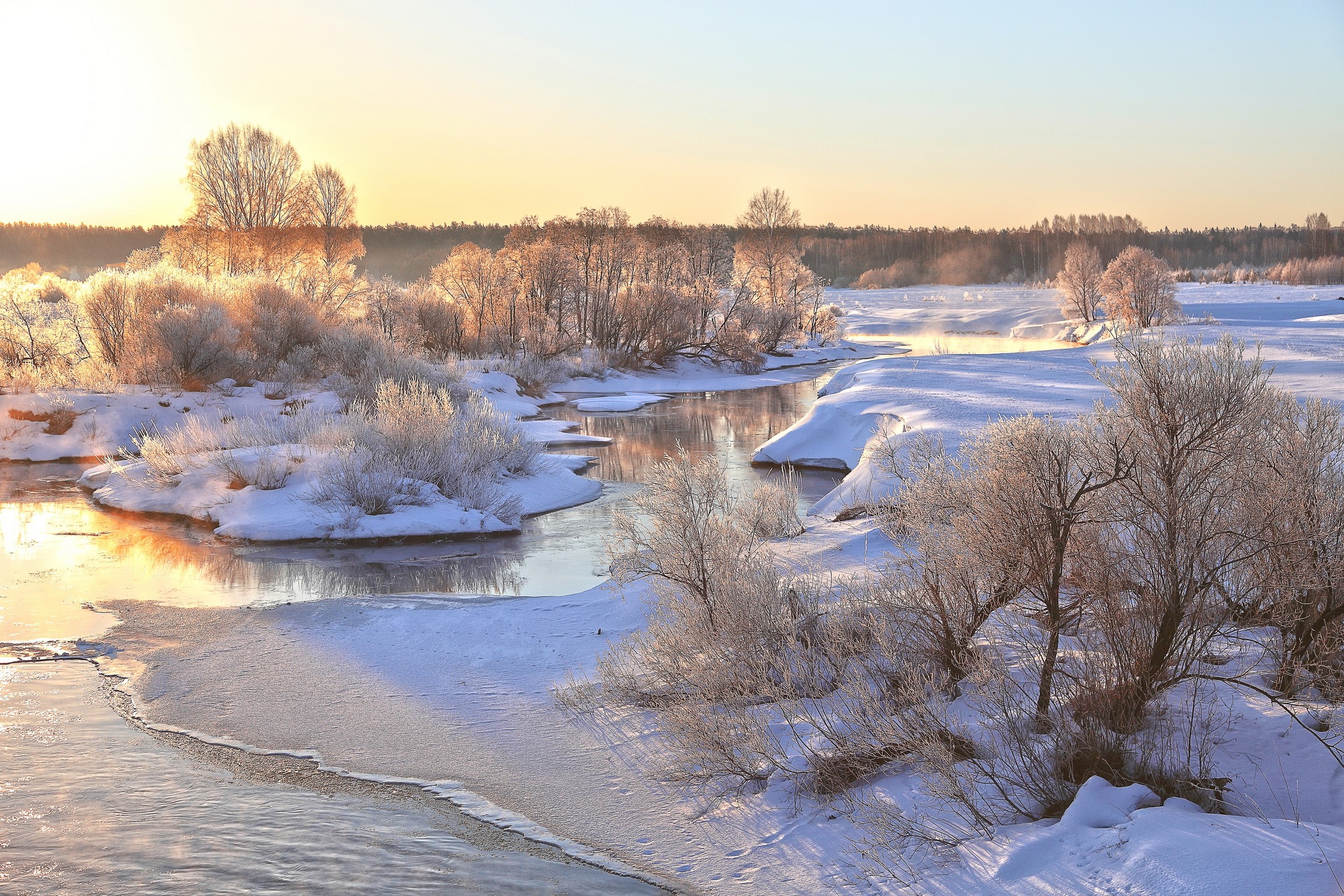 Winter river landscape with snow-covered trees at sunrise HD Wallpaper