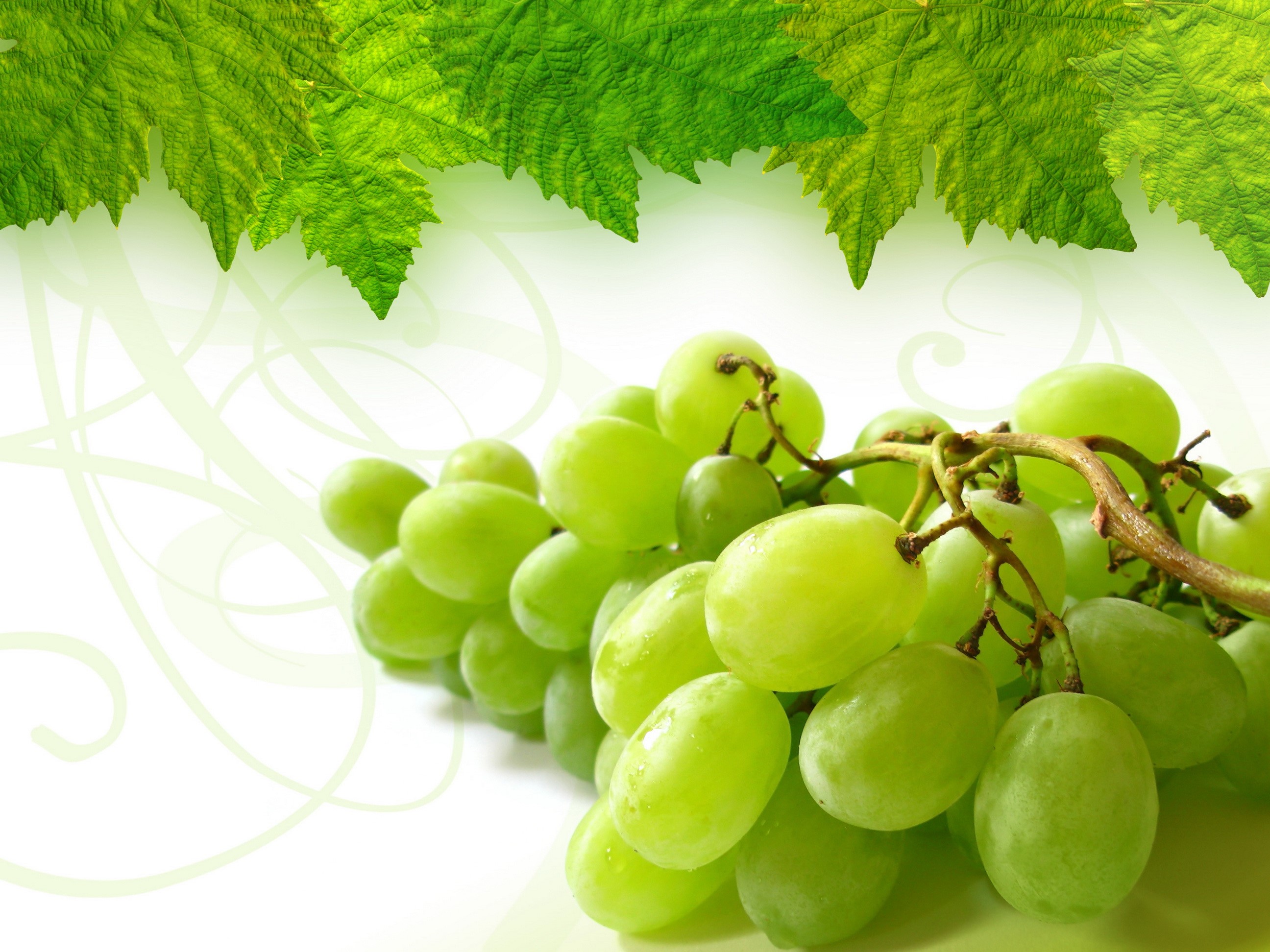 Green grapes with leaves and decorative swirls HD Wallpaper