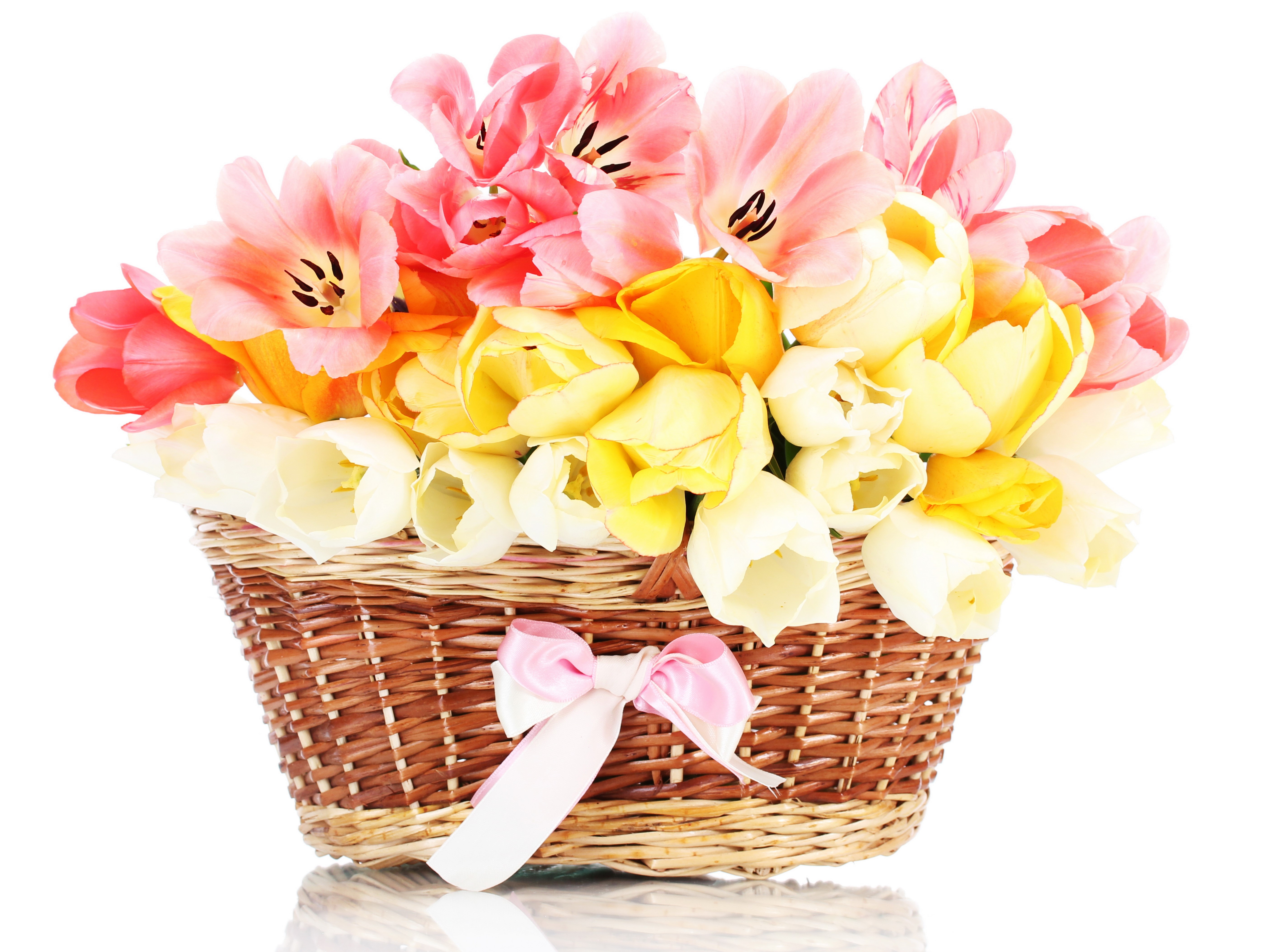 Tulips in a wicker basket HD Wallpaper