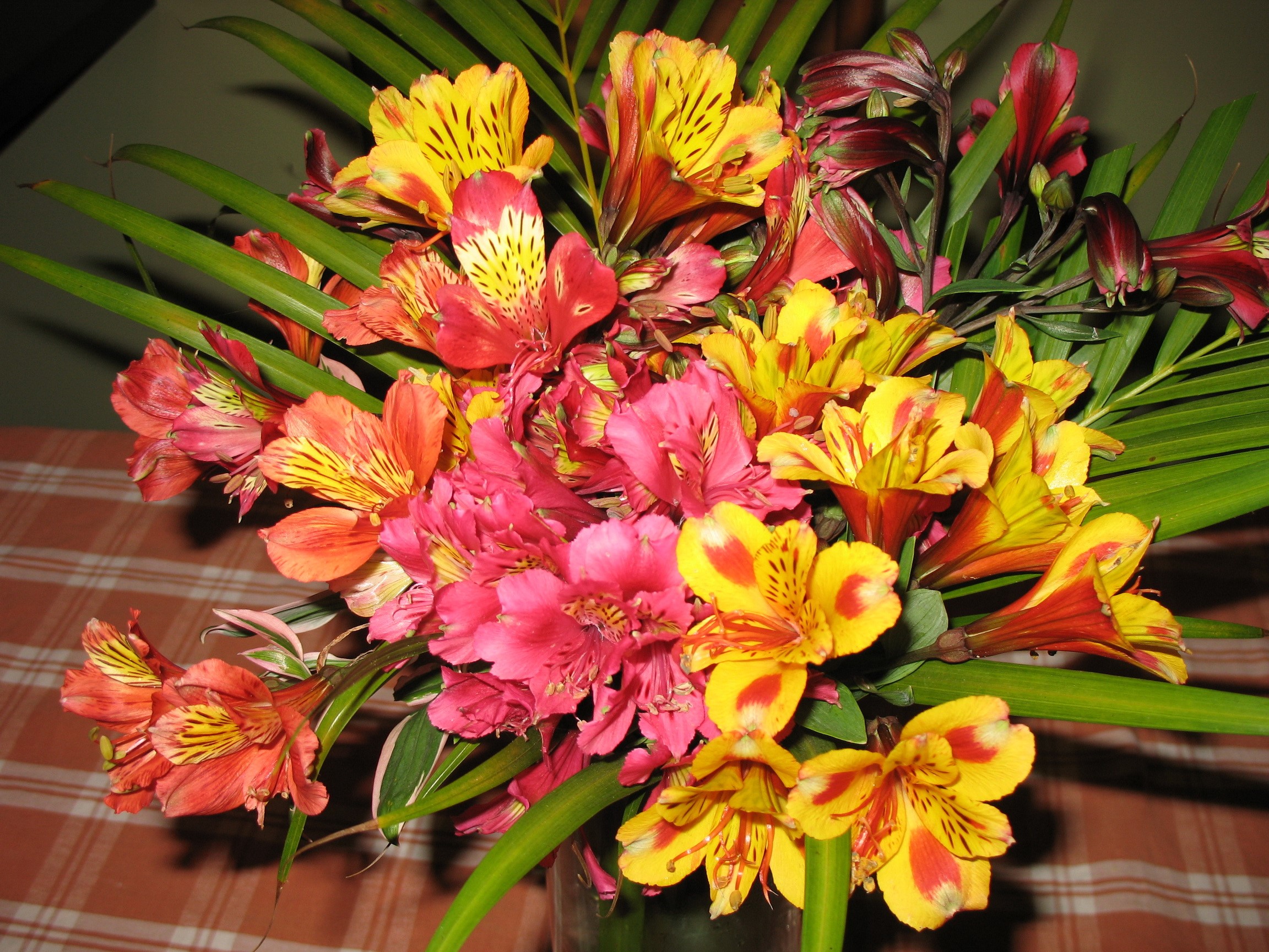Alstroemeria flowers in a bouquet HD Wallpaper