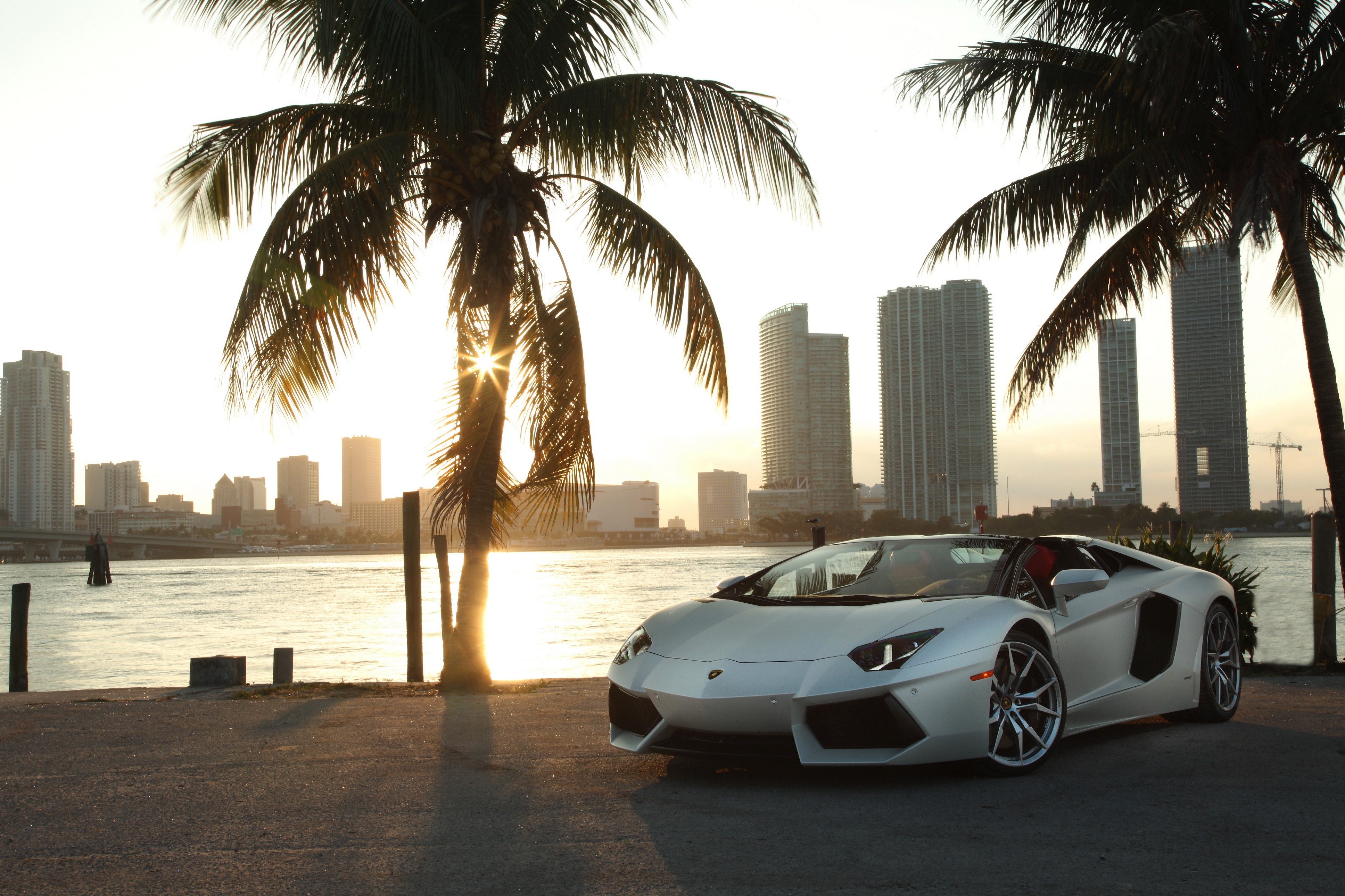 White Lamborghini Aventador Roadster with Palm Trees and City Skyline HD Wallpaper
