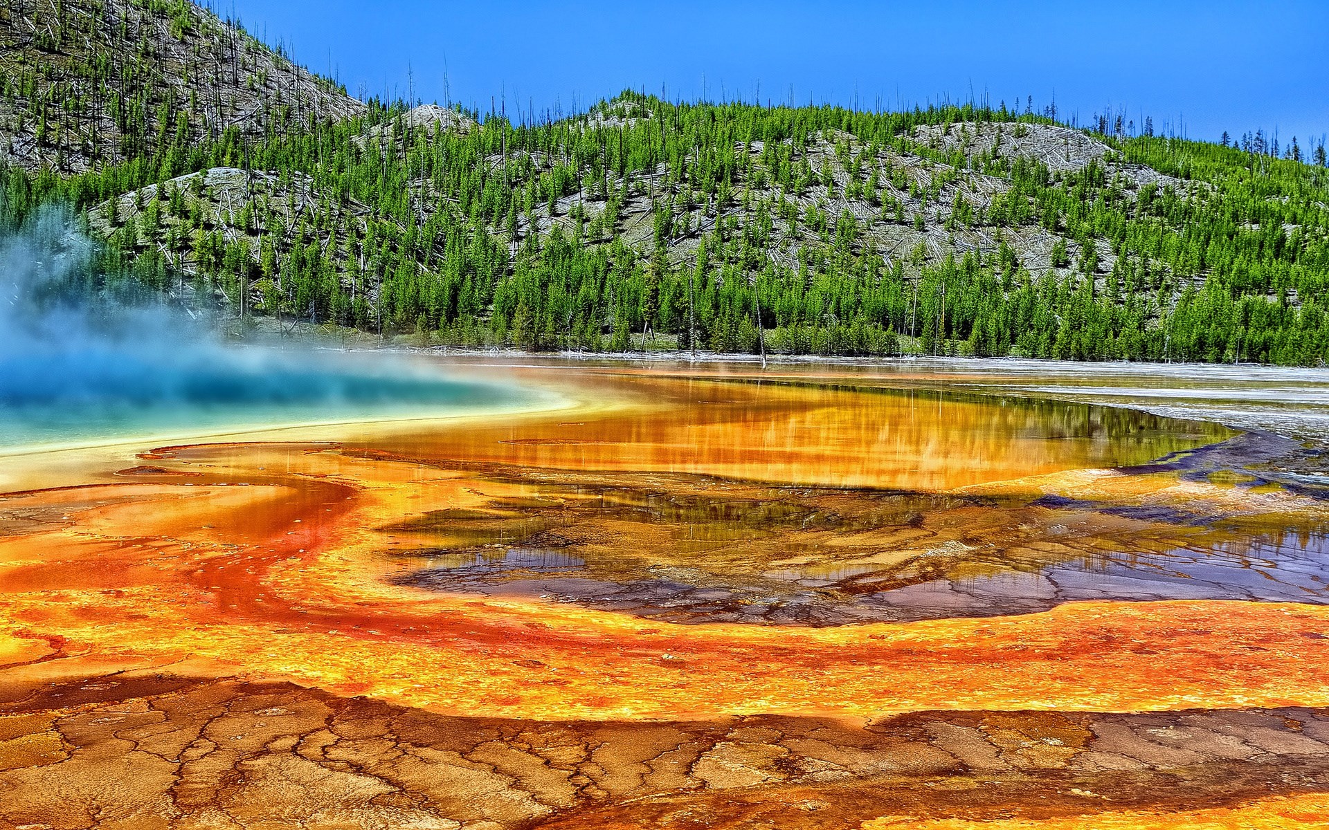 Grand Prismatic Spring in Yellowstone National Park HD Wallpaper