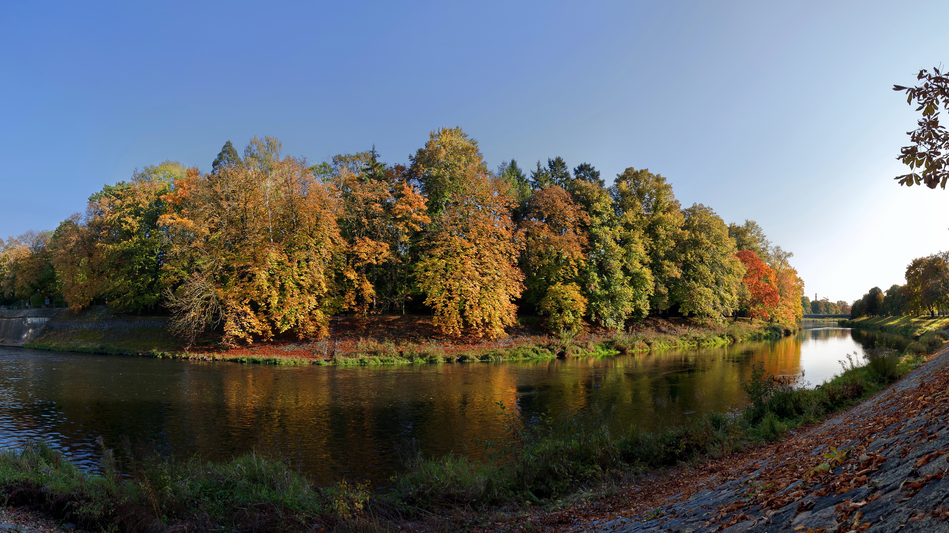 River and autumn trees in the Czech Republic HD Wallpaper