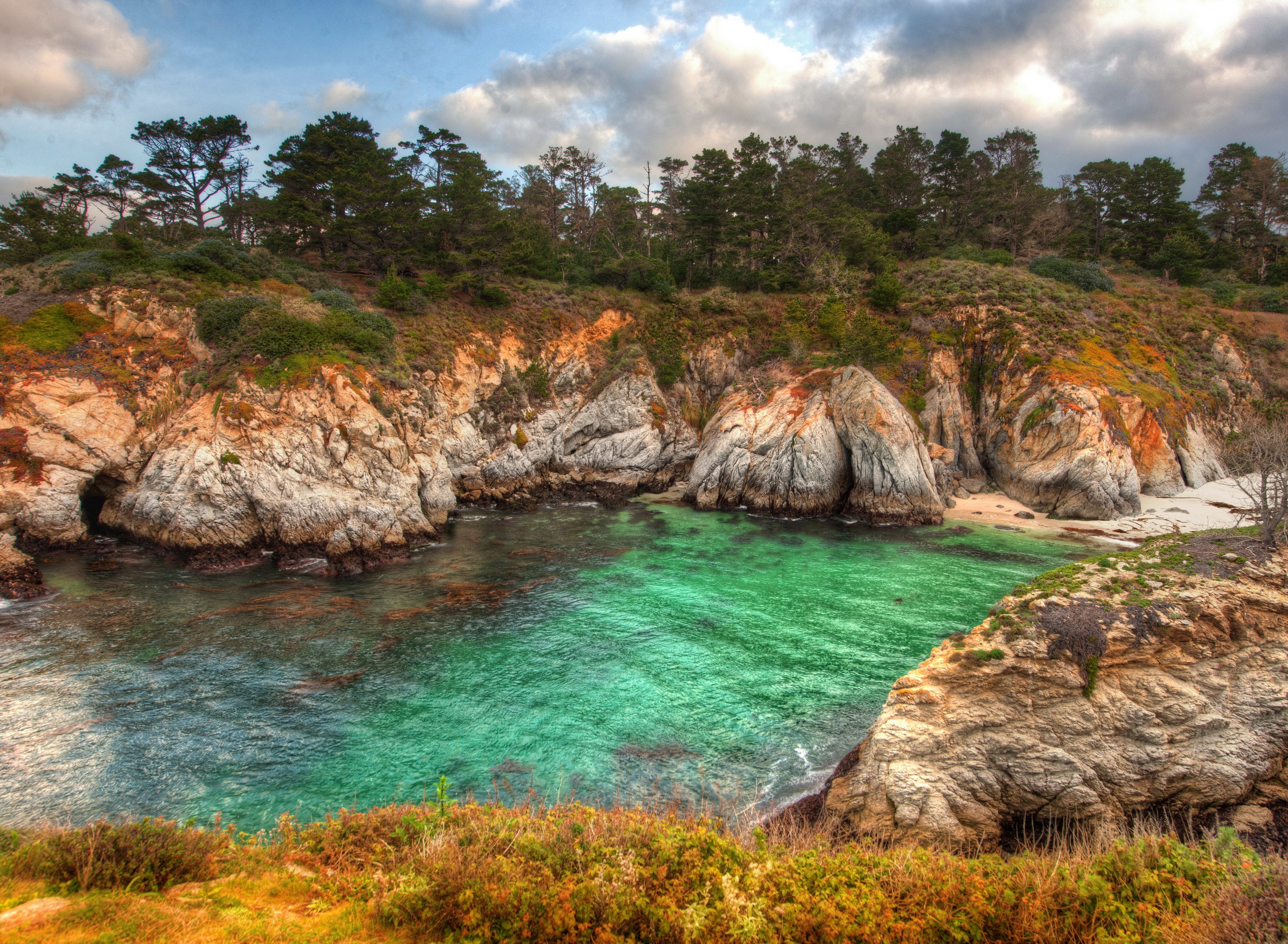 Rocky coastline with turquoise water and pine trees in Carmel, California HD Wallpaper