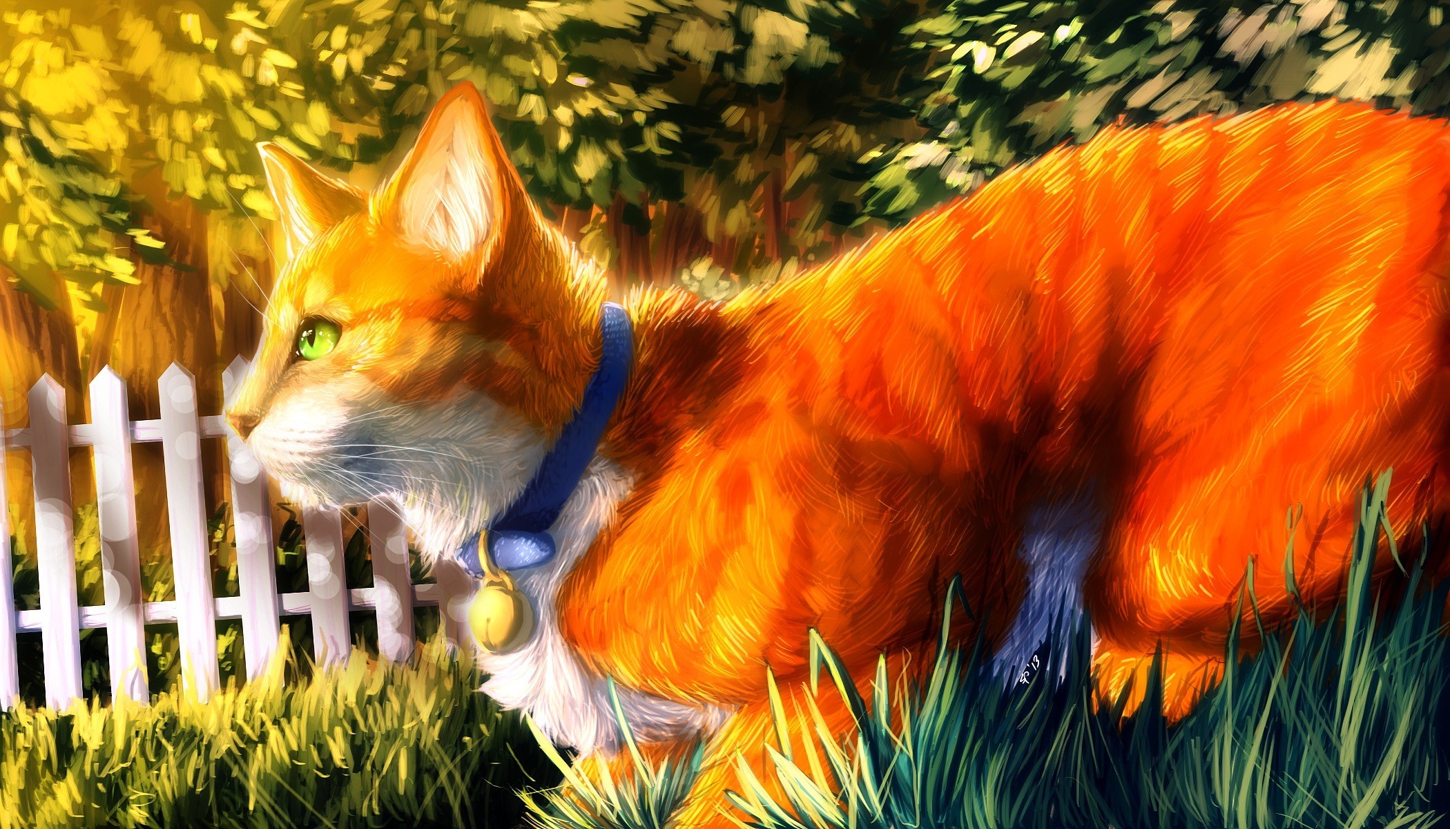 Orange cat with green eyes and blue collar in grass HD Wallpaper
