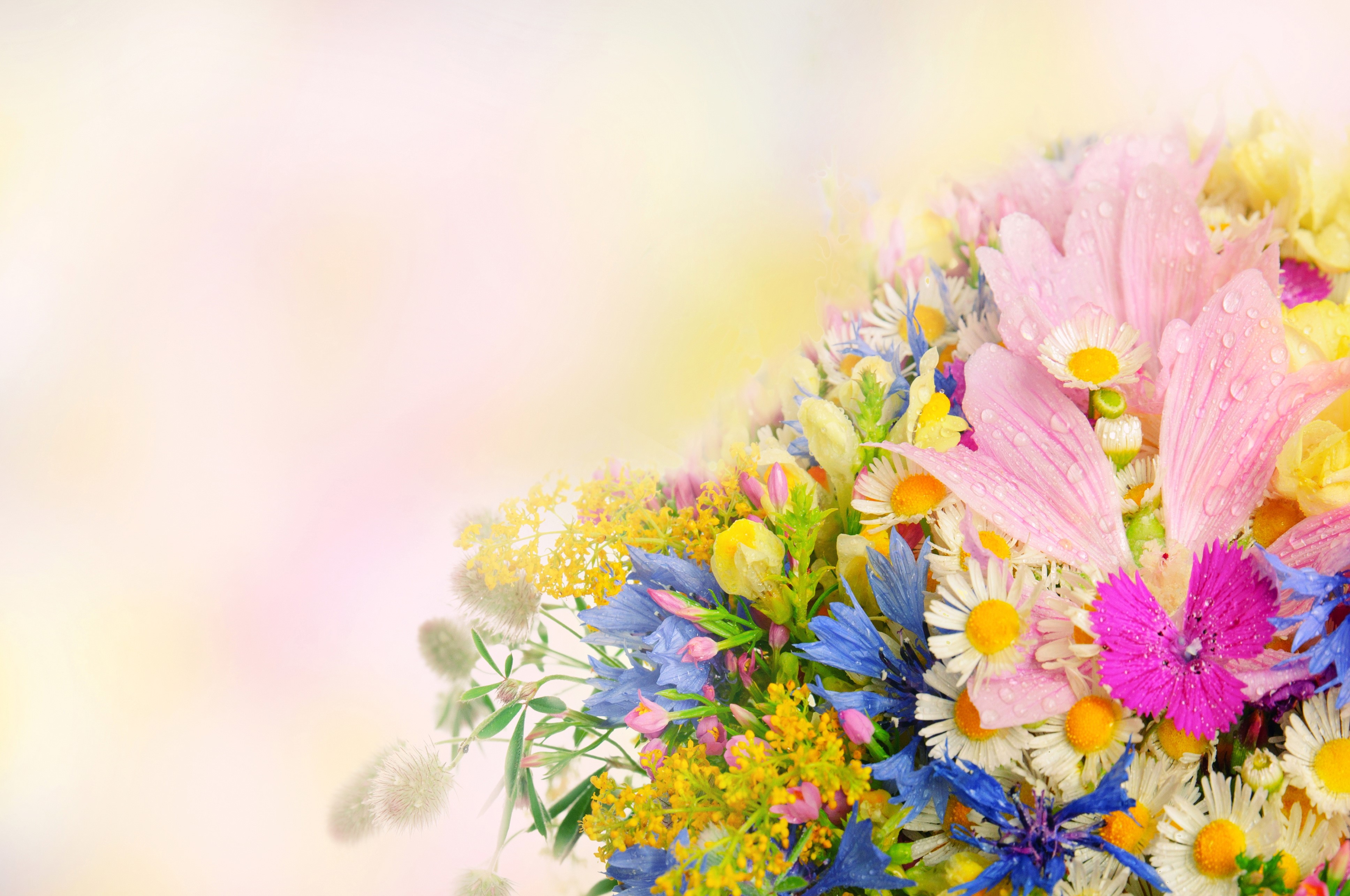 Bouquets with Drops HD Wallpaper
