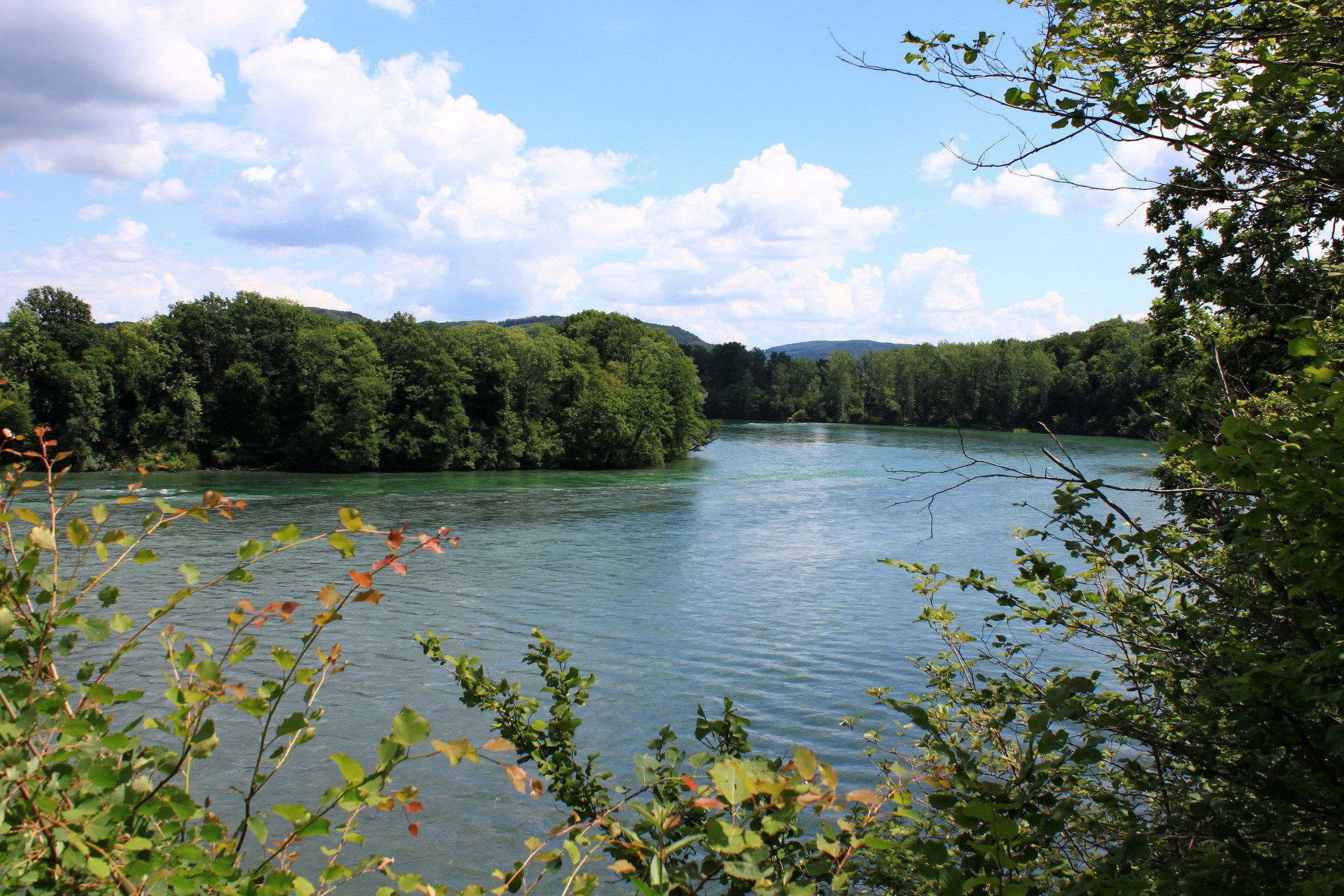 River and trees in Rietheim, Switzerland HD Wallpaper