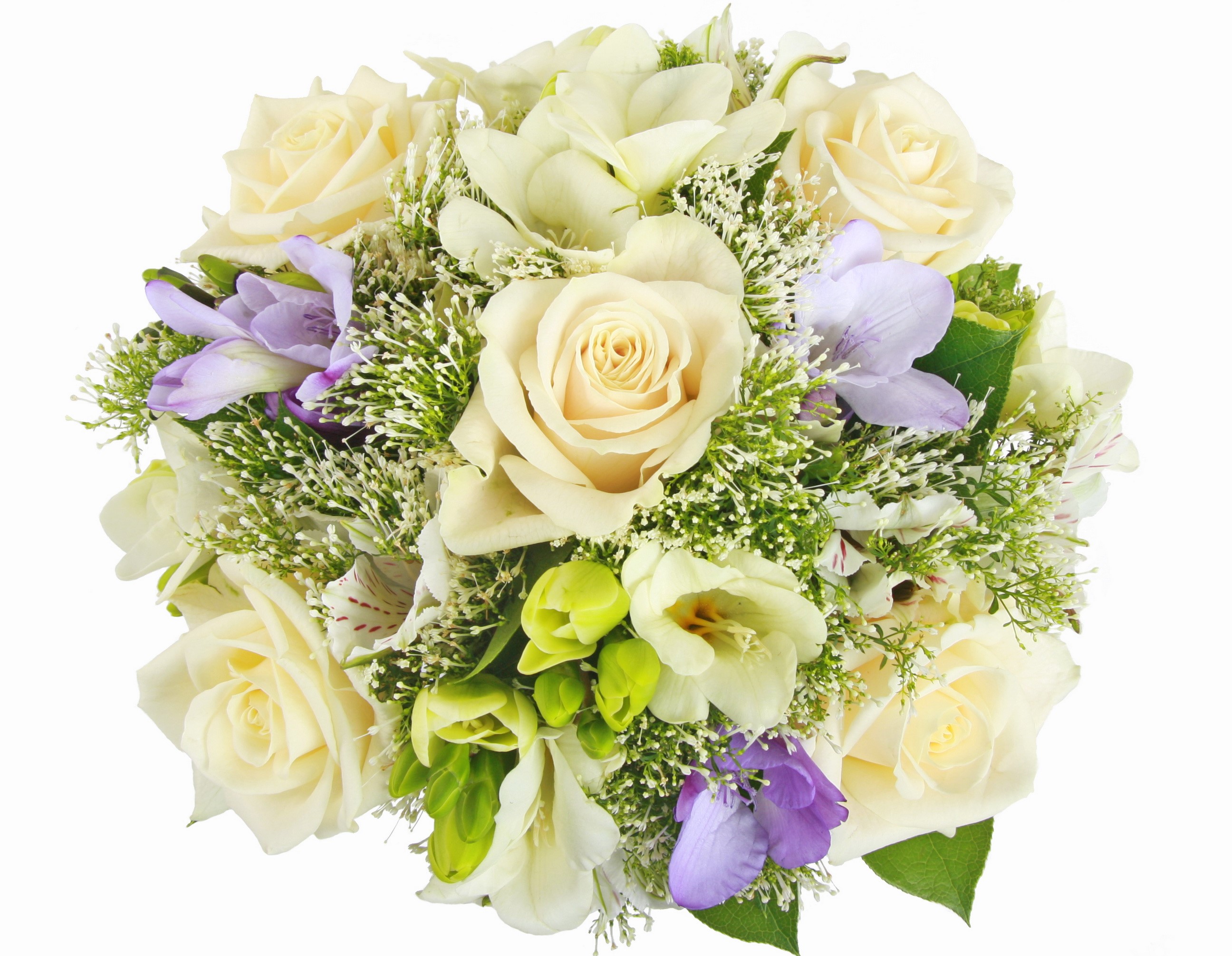 Bouquet of Roses and Freesias HD Wallpaper
