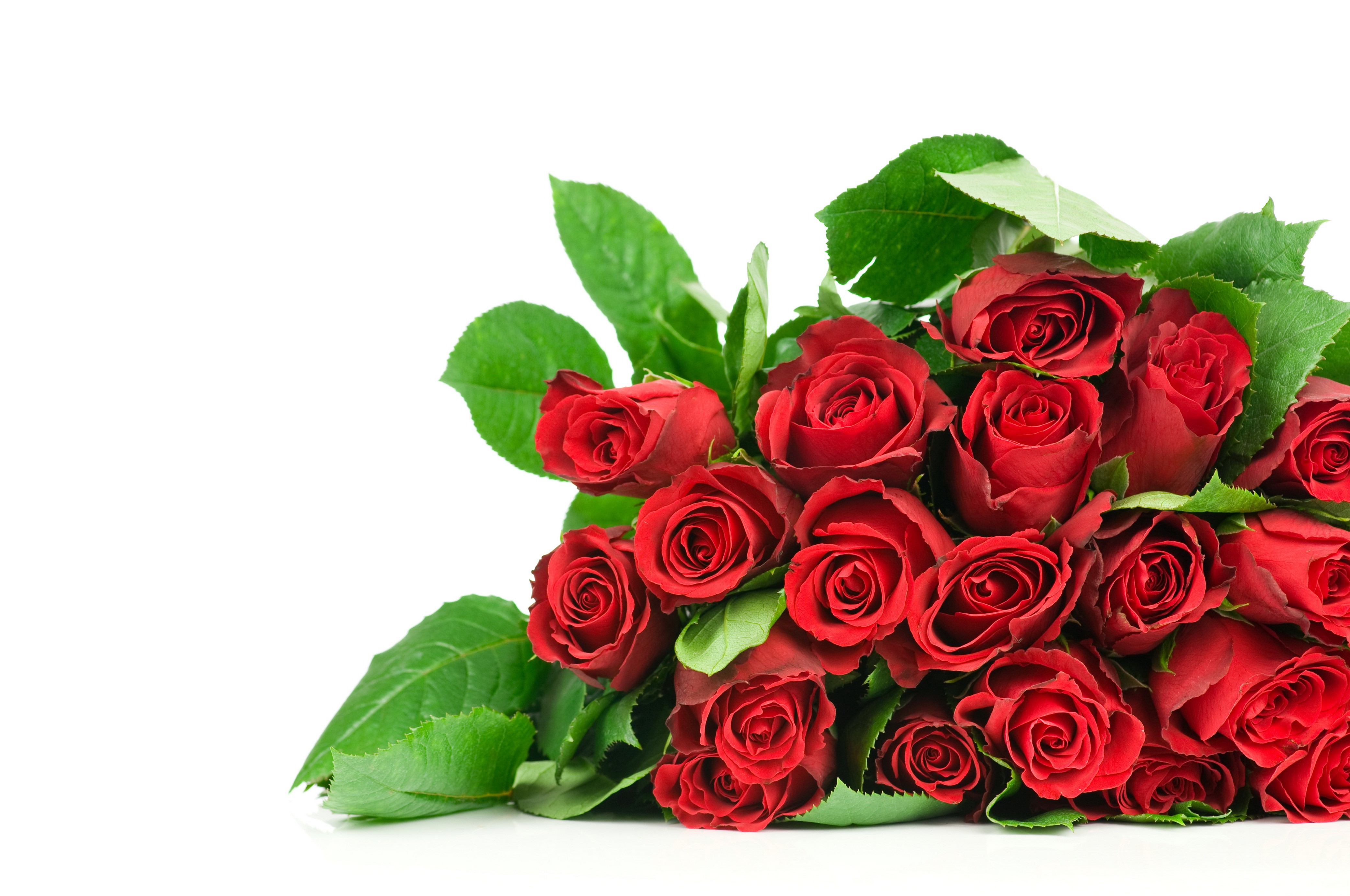 Bouquet of Red Roses with Green Foliage HD Wallpaper