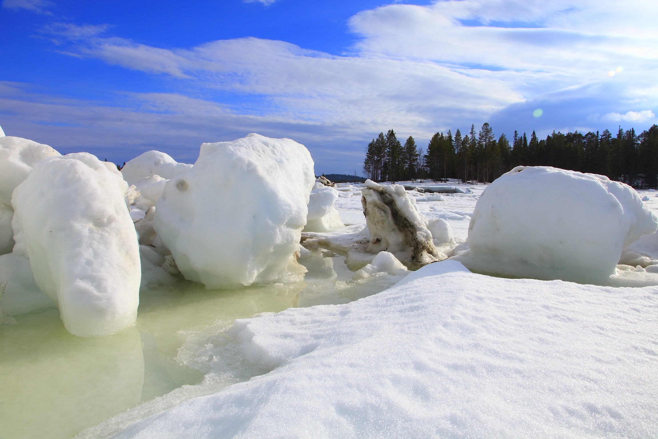 Ice chunks on a frozen lake with pine forest background HD Wallpaper