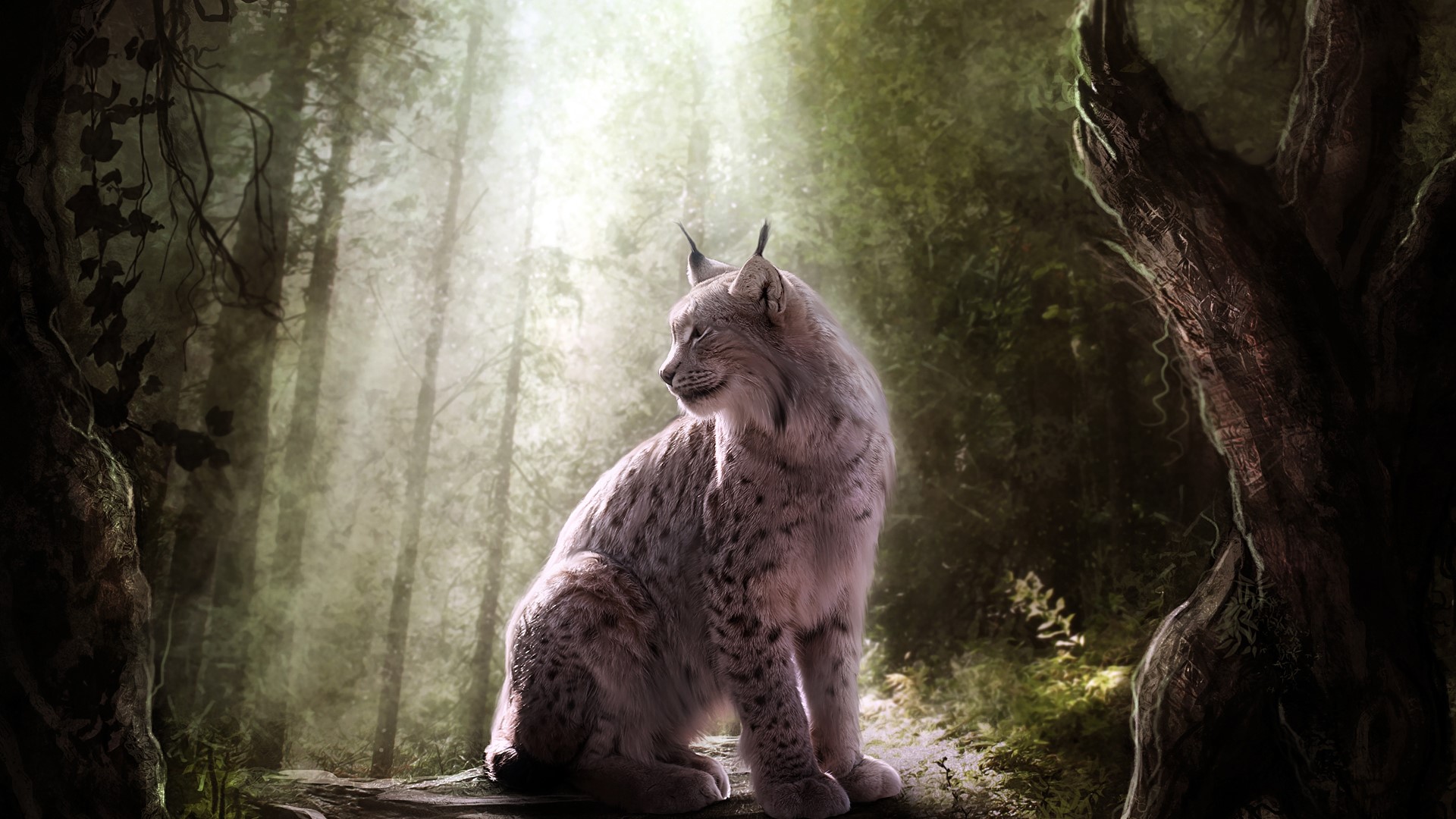 Lynx sitting in a sunlit forest HD Wallpaper