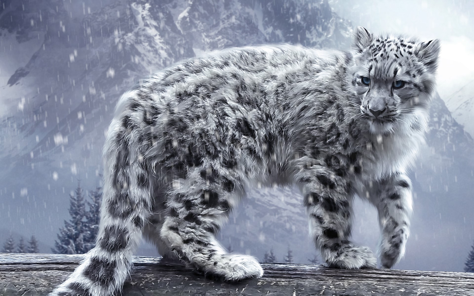 Snow leopard on a log in a snowy mountain landscape HD Wallpaper