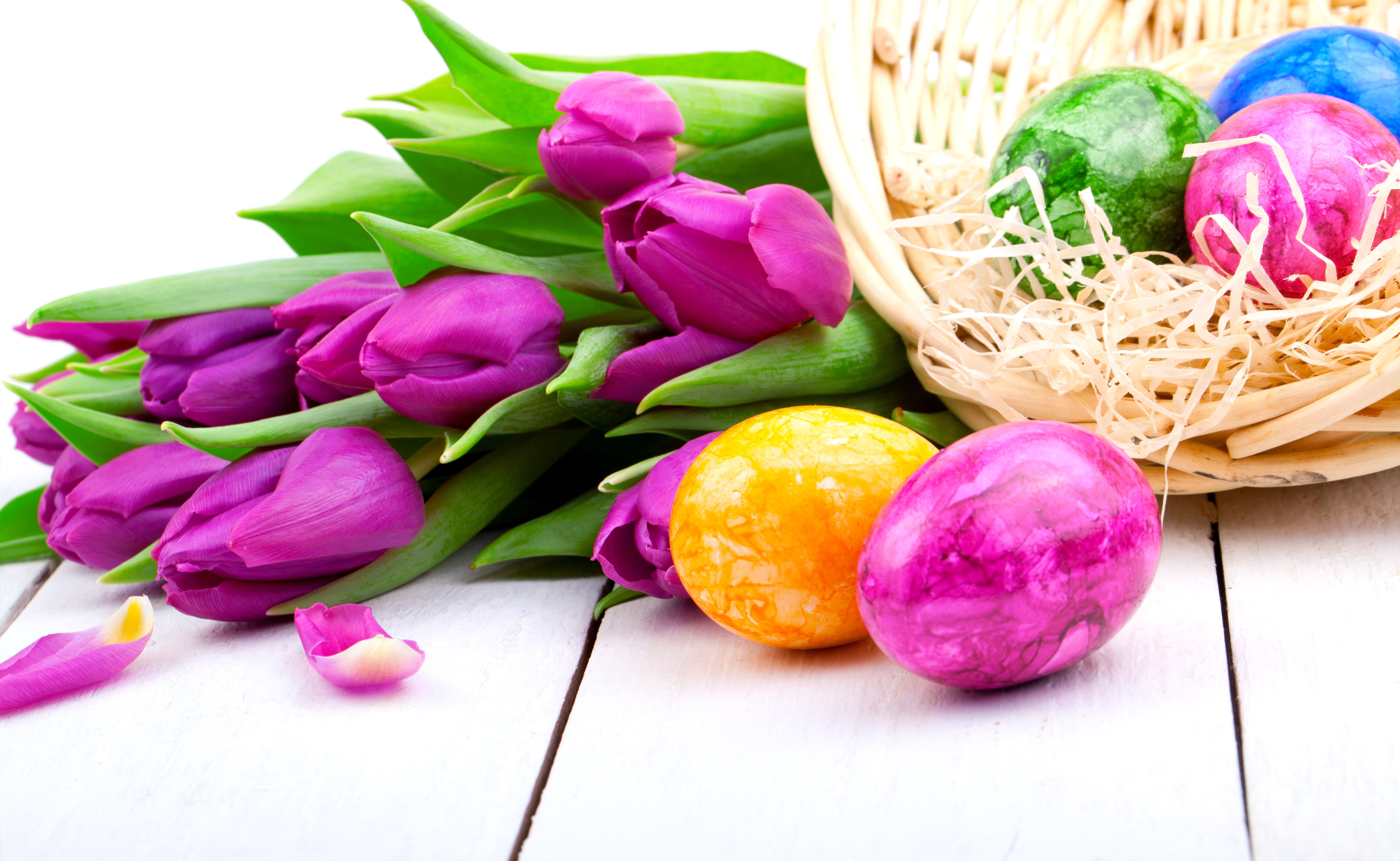 Easter Tulips and Painted Eggs in a Basket HD Wallpaper