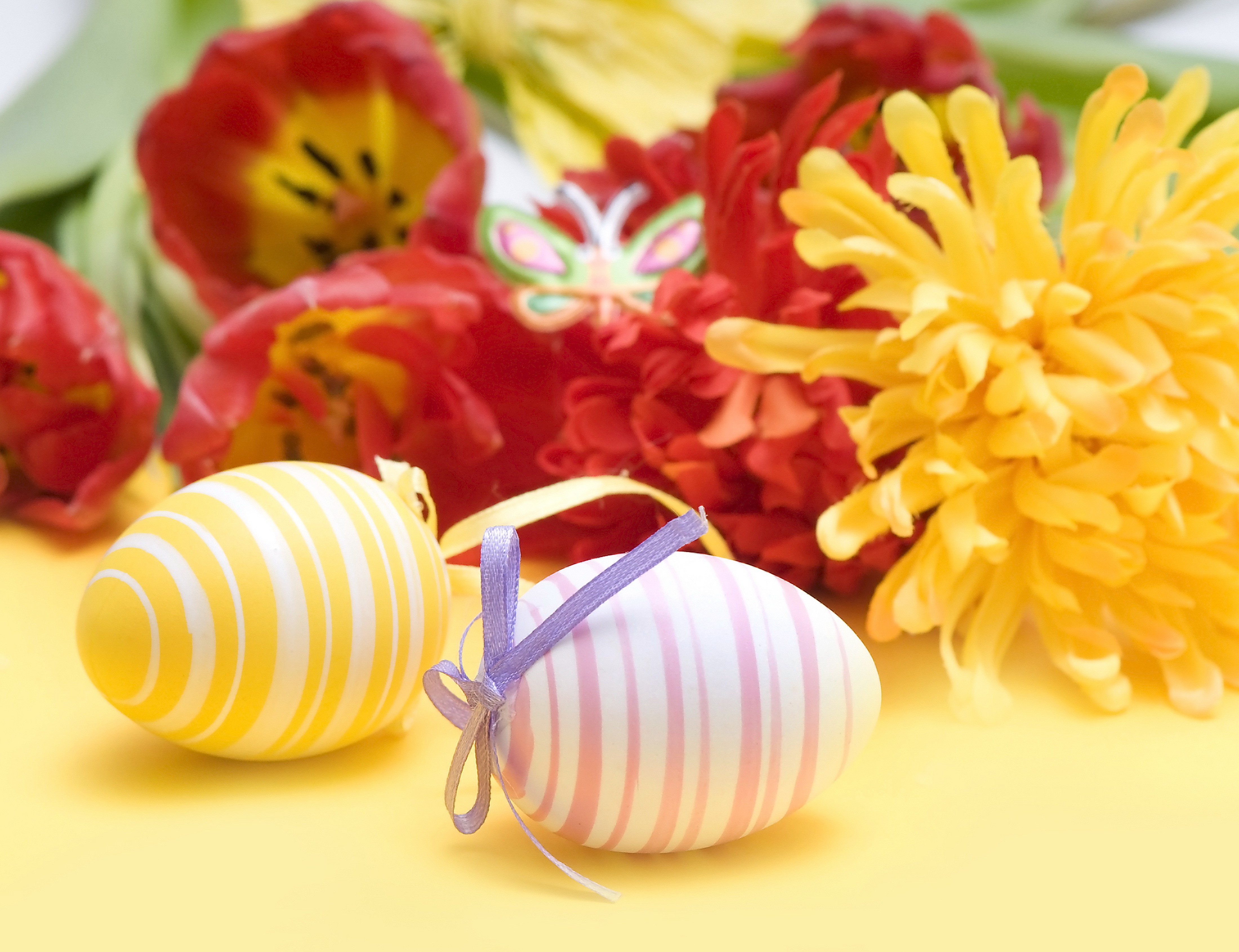 Easter eggs and tulips on yellow background HD Wallpaper